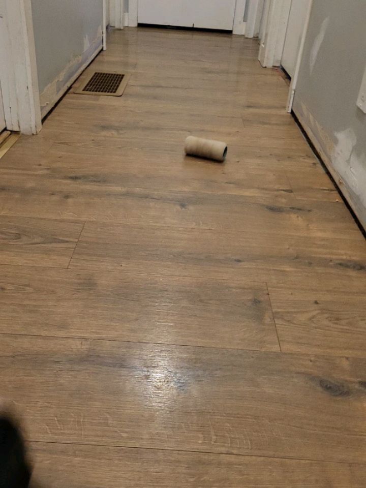 Fun game of Hallway Fetch for the pups today.
#dog #puppy #spaniel #birddog
