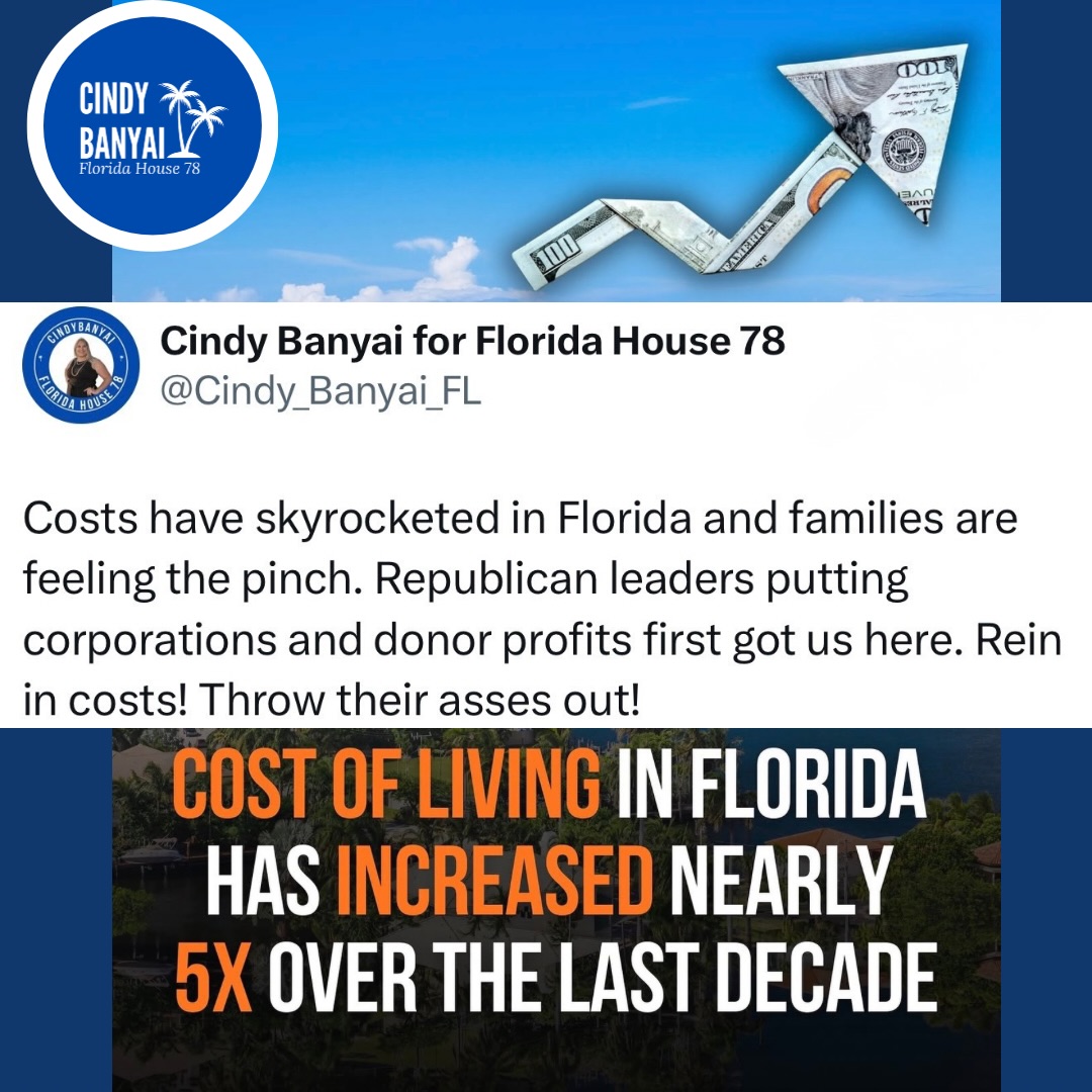 Affordability isn’t just a talking point. It describes the struggle Floridians face paying their bills and getting what they need. Rent is 🆙. Electricity bills are 🆙. Gas is 🆙. Grocery prices are 🆙(and shrinkflation!!). Republican policies have made Florida unaffordable. We can’t bring prices down until we throw them and their cronies out! #election2026 #fortmyers #takebacktally #noshit #affordability