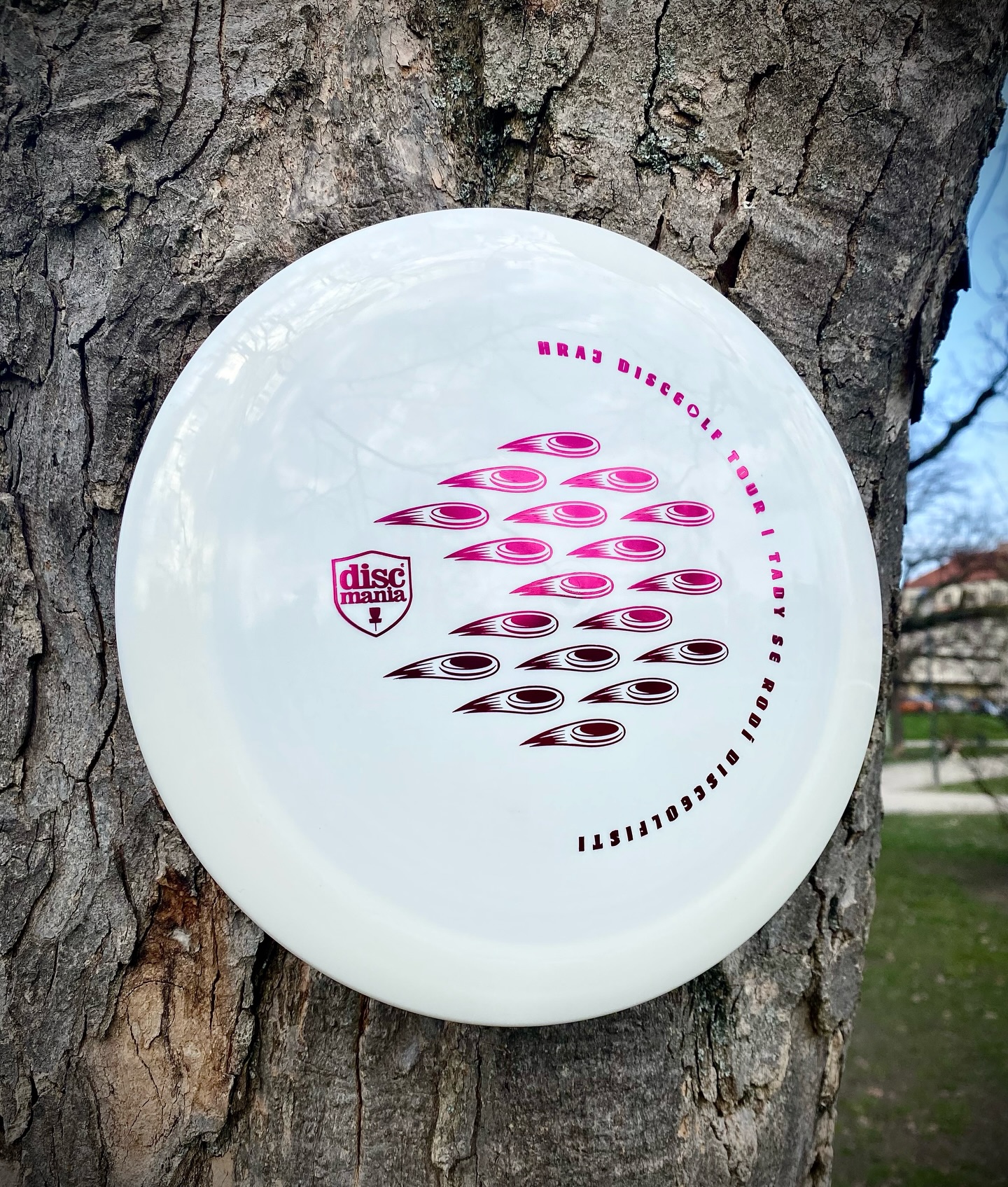 Tady se rodí discgolfisti ❣️
Kde? No přece na Hraj Discgolf Tour, která je určená především pro discgolfové nováčky. Je to zaručeně jedna z těch kratších cest 🙃 S naším partnerem @discmaniadiscs jsme udělali ještě jeden design na disky, které si může zakoupit každý. Jedná se o disky - DD, Function, MD1 a MD3, Origin a P1. Vozíme je po našich turnajích, ale ode dneška tyhle krasavce může koupit každý i na e-shopech organizátorů Tour - na @ultimo_cz a @prodiscgolfcz. V různých barvách i plastech. 👌
Nákupem těchto disků podpoříte tuhle Tour do budoucna 🙏
#hrajdiscgolftour #hrajdiscgolf #discgolf