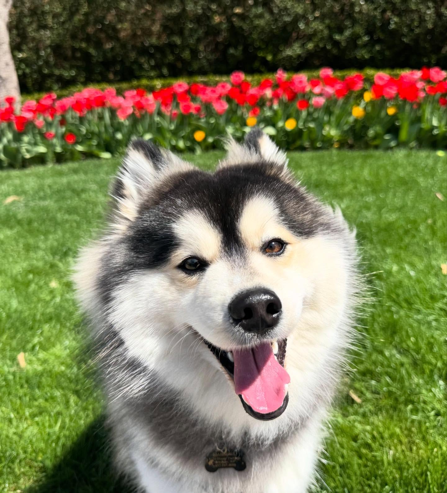 Manning says welcome spring! 🌷