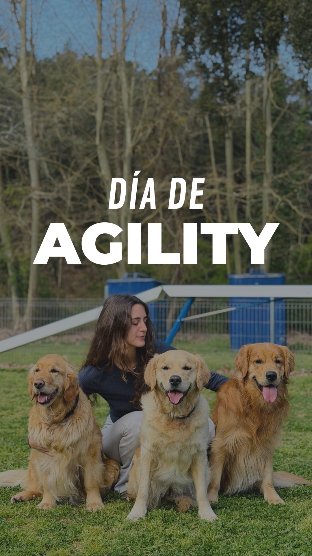 Sesión de Agility con Kuma, Diva y Disco✨
Entrenar juntos no solo divertido, es la mejor forma de fortalecer el vínculo con tu perro 🤙🏼🐾
~
#dogtraining #educacioncanina #agilitydog #maresme #goldenretriever