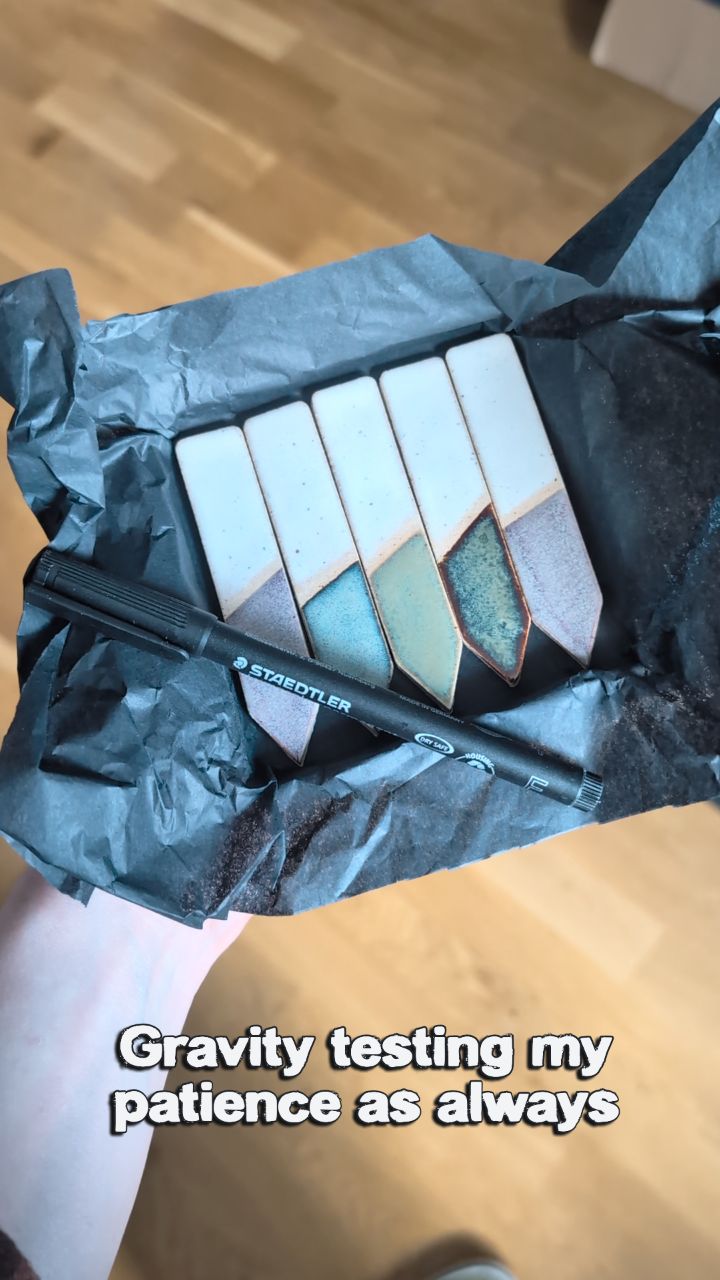 Can a girl just do a damn video in peace please. Plant markers looking real cute as a set of 5 in this recent order though 😎