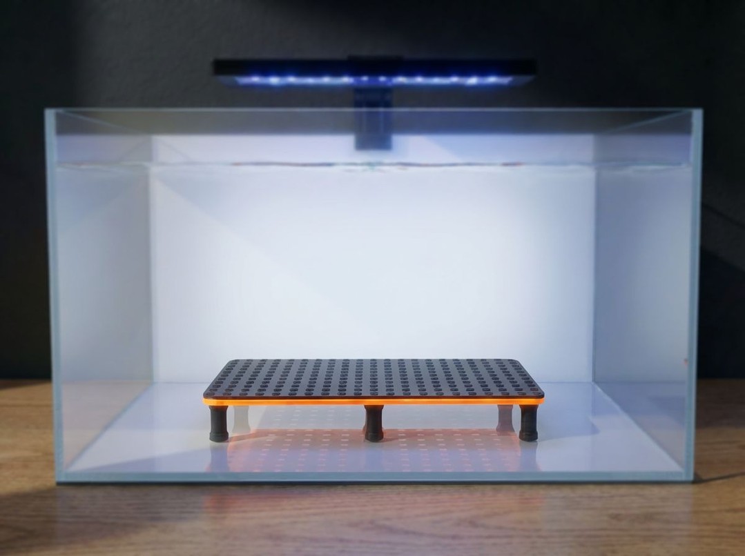 Custom Frag Racks Built to Your Specs! 🔧
One of our most popular products - and for good reason! Our frag racks are engineered to fit YOUR tank perfectly. Whether you need specific dimensions, custom hole spacing, or a unique layout, we've got you covered.
Built with precision using advanced manufacturing and designed to maximize your coral placement. Available in various sizes and configurations to suit any setup.
Want a frag rack that's tailored to your exact needs? Drop us a message and let's build something incredible together! 💪
Contact us here:
https://www.thepolyppros.co.uk
https://www.thepolyppros.eu
#thepolyppros #fragtank #fragrack #customaquarium #reefkeeping #coralfarm #aquariumsetup #3dprinted #marinereef #reefnerd #custombuilt #aquariumaccessories #allmymoneygoestoreef #reefaddict #saltwater #marineaquarium #aquariumhobby #coralkeeper #reefkeeper #aquascaping #reeflife #aquariumlife #reefcommunity #customtank #aquariumdesign #marinelife #coralfrags #fragging #reefsetup #aquariumgear