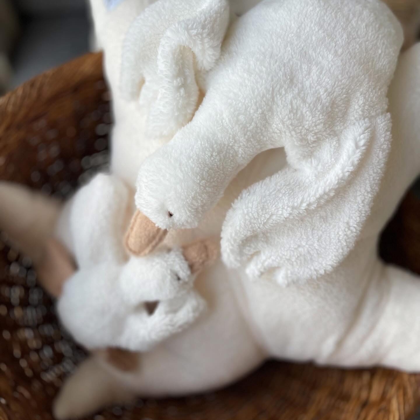 🤍 Soms leg ik een plaatje vast en ben ik zo verliefd op mijn Lulu gansje 🪿 || zacht knuffeltje || mama en mini (duo)
Stofsoort: Teddy wit met teddy pootjes
#LULUDegans
#KnuffelLiefde #StudioIkke #HandgemaakteKnuffels #duurzaamspeelgoed