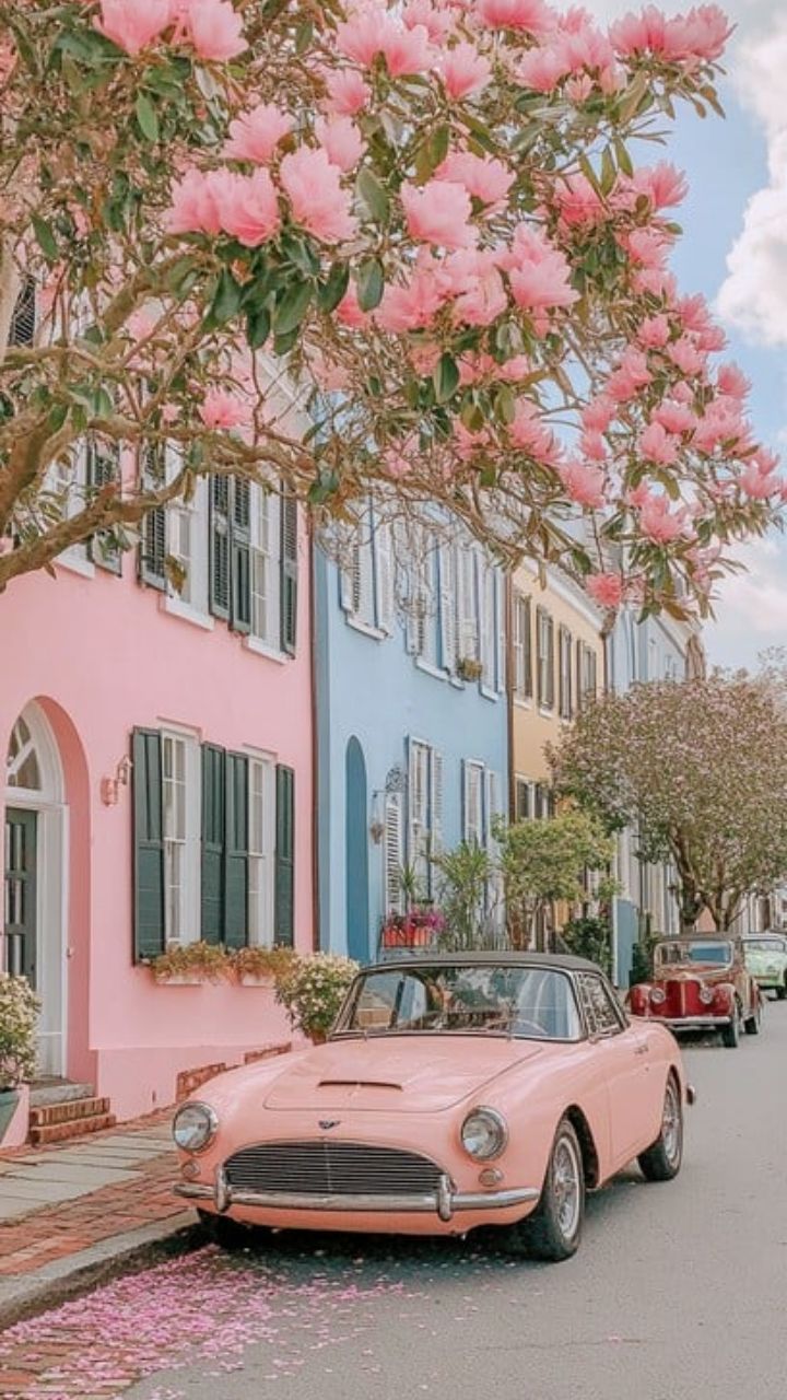 You don’t need a shelf full of products you need the right routine and consistency. When you stay committed, your skin will respond. Glow is built daily, not occasionally.
#ConsistentSkin #SimpleSkincare #HealthySkinRoutine #GlowFromWithin #SkincareResults