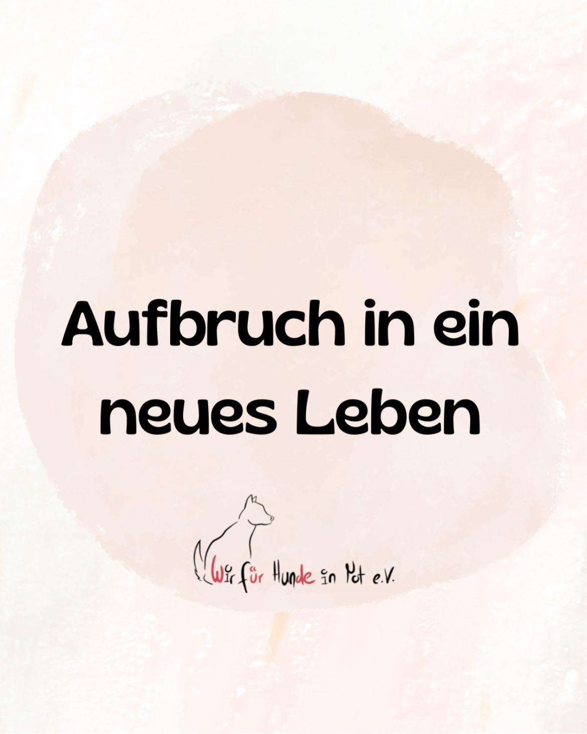 Es war wieder so weit und 6 Hunde durften ihre Reise nach Deutschland antreten und ein neues Leben beginnen. ❤️
📸 Bilder der Reihe nach
❤️ Leonardo hat eine liebevolle Pflegestelle gefunden & sucht von dort aus seine Menschen.
❤️ Sven, Olivia, Blu, Finja & Boji hatten das große Glück, direkt in ihr neues Zuhause ziehen zu dürfen!
Macht es gut & lasst mal von euch hören! Ihr habt es so sehr verdient🐾❤️