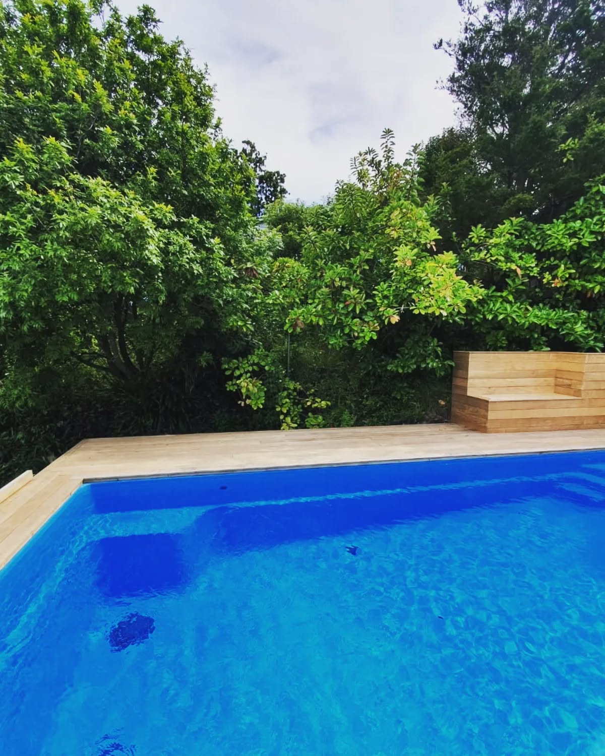 Cutting back and clearing