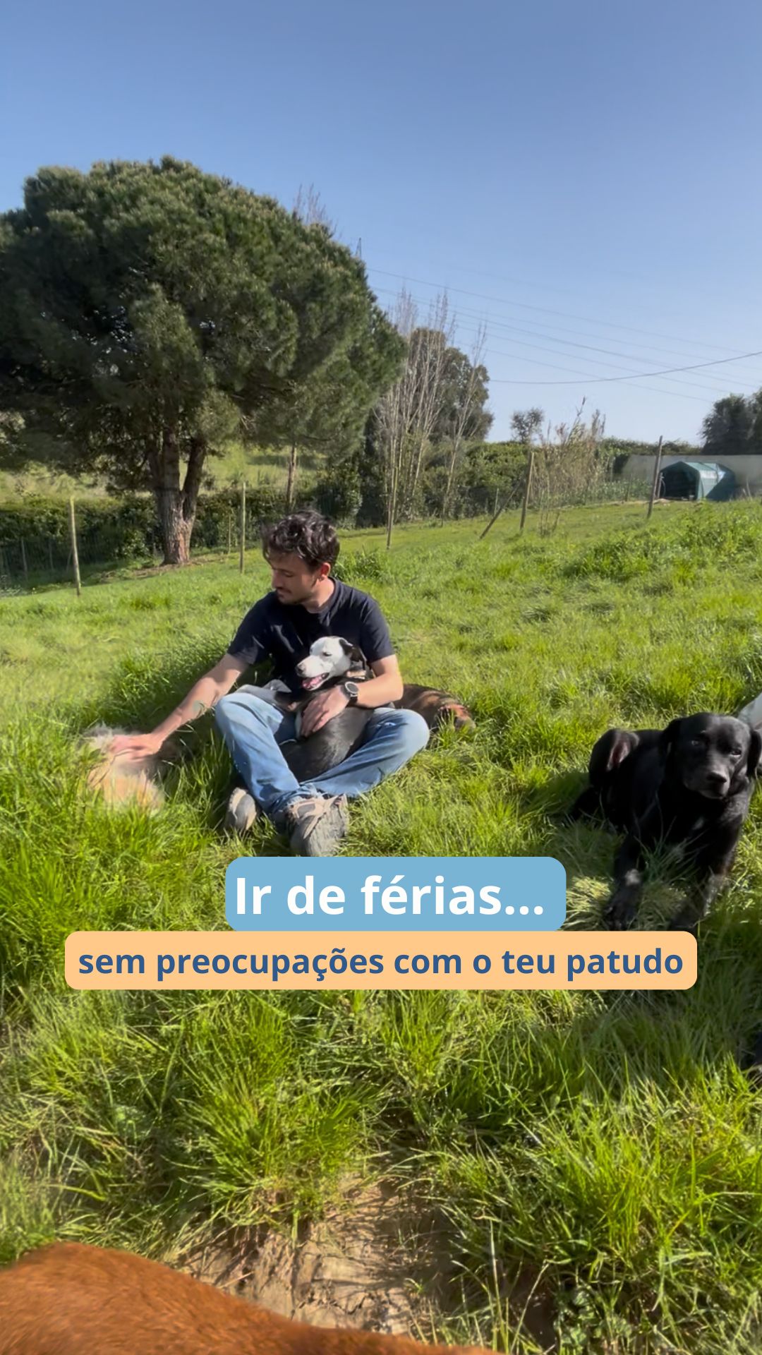 Sabemos que não é fácil deixar o teu patudo enquanto vais de férias…
por isso criámos um conceito diferente.
Aqui não há isolamento.
Há presença, rotina, acompanhamento e muito cuidado.
Durante o dia, brincam, socializam e exploram.
À noite, descansam acompanhados, num ambiente tranquilo e seguro.
E tu? Vais acompanhando tudo, todos os dias, através de vídeos e fotografias 📩
👉 Queres garantir um lugar para as próximas férias?
Envia-nos mensagem e fala connosco