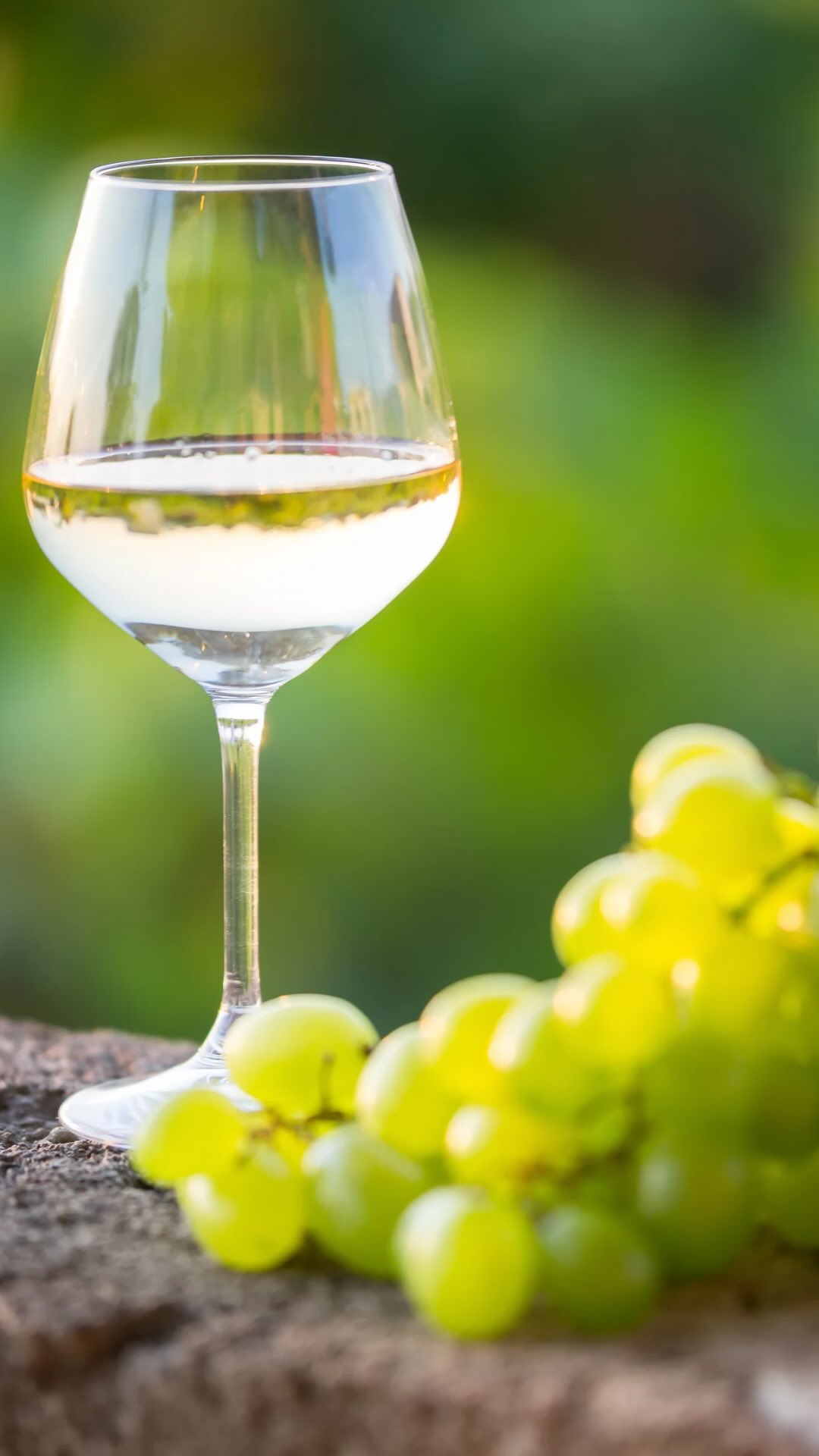 Ever wonder how wine can taste like fruit that isn’t there? 🍷 It’s all about aroma compounds that develop and mimic those flavors, guiding what you taste. It’s a fun reminder of how complex and interesting wine can be!
For more fun wine facts, head over to @labellewinery’s website.
#winelover #womenwinemaker #smallcreator #learning #labellewine