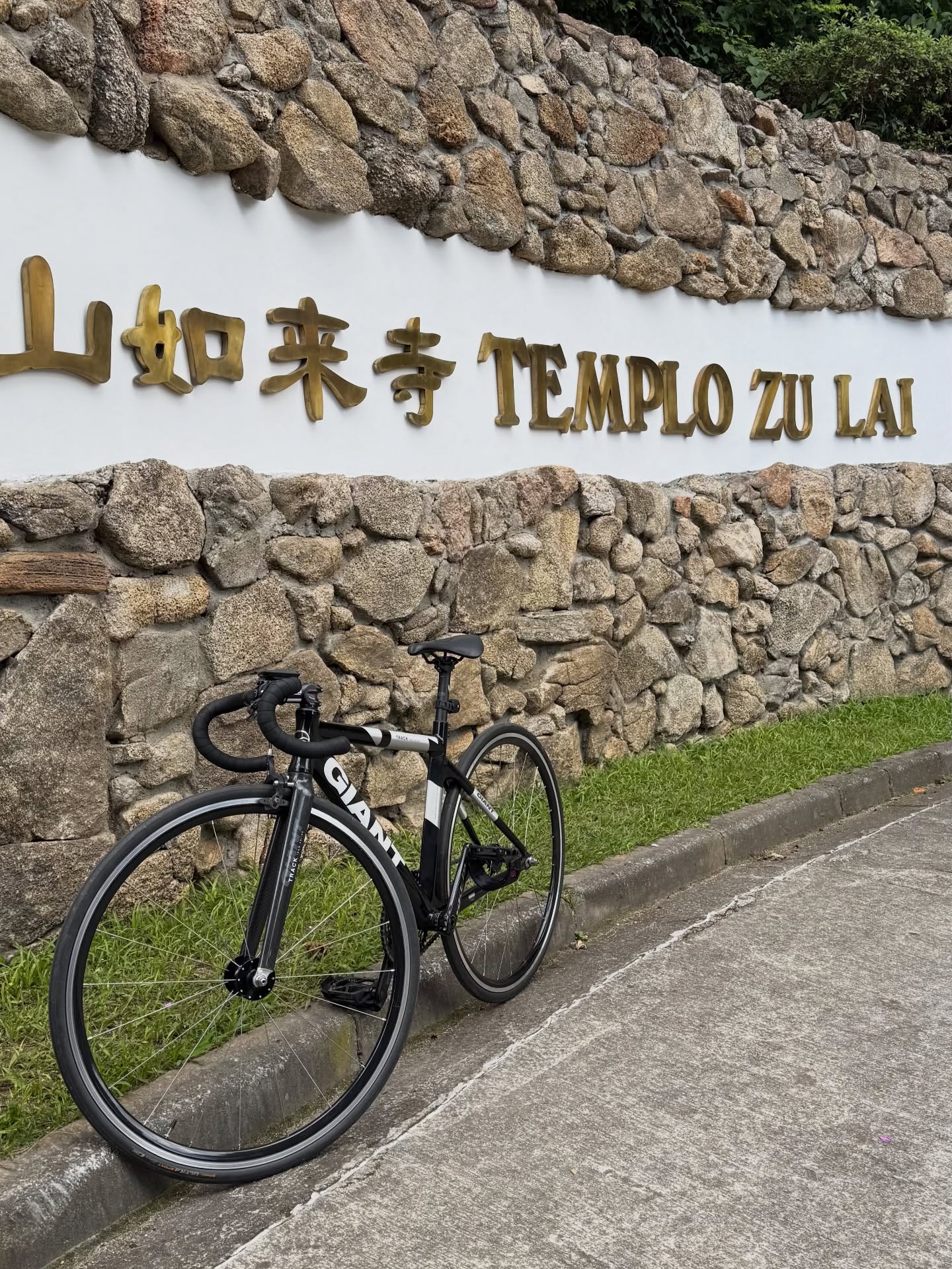 Uma Giant para chamar de mim!
⚙️ 49 x 16
Uma fixa tão titiquinha que se tornou meu Chaverin 🤏🏻
Amo conhecer novos lugares voando na bonita, é sempre um mix de emoções!
Na minha cabeça vem desde: “Raquel, o que você está fazendo da vida?”, “meu Deus, não para de pedalar, não para de pedalar!”, “hoje eu não vou cair”, ”uhuuulll que liberdadeeee, eu amo pedalar” e por aí vai hahahaha 😅
Meu chaverin monstrando o quanto sou capaz e isso só me inspira em pedalar ainda mais.
✨ Bike é vida!
Obrigada pelo foguete belíssimo @cycleurb @ciclobiologico @matthewscerruti @sousas_mt 🚴🏻♀️💨
#diadociclista #bikelifestyle #giant #fixiedgear