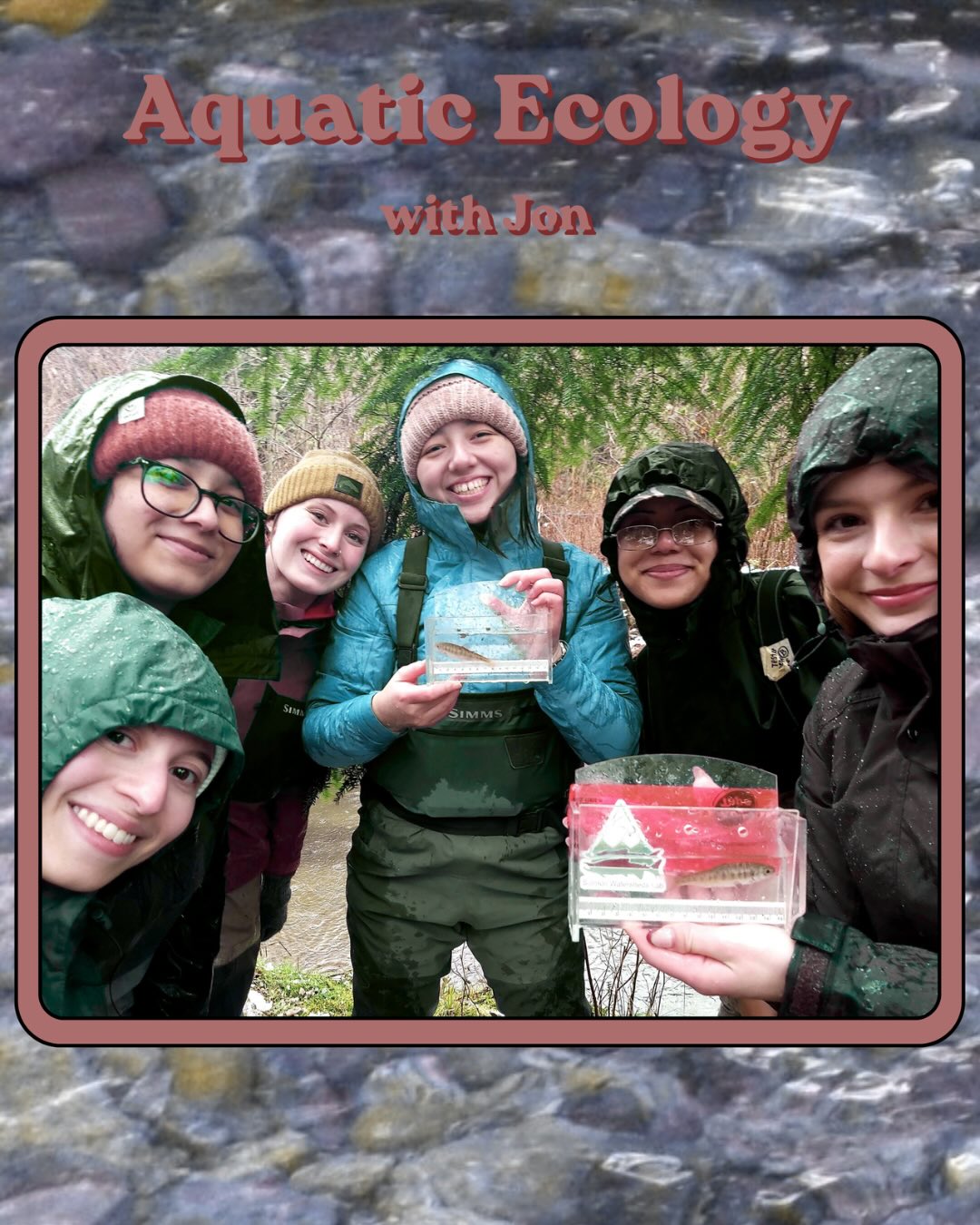 As the semester comes to an end we are wrapping up Aquatic Ecology, an under-level undergraduate class at SFU bisc taught this Spring by Jon with Ben and Britt. Highlights of the semester were discovering some amazing invertebrates like a water scorpion and giant stonefly, as well as collaborative work to monitor juvenile salmon use of restored habitats with DFO. It was soggy, cold, and fantastic! Thanks to the awesome students and partners.