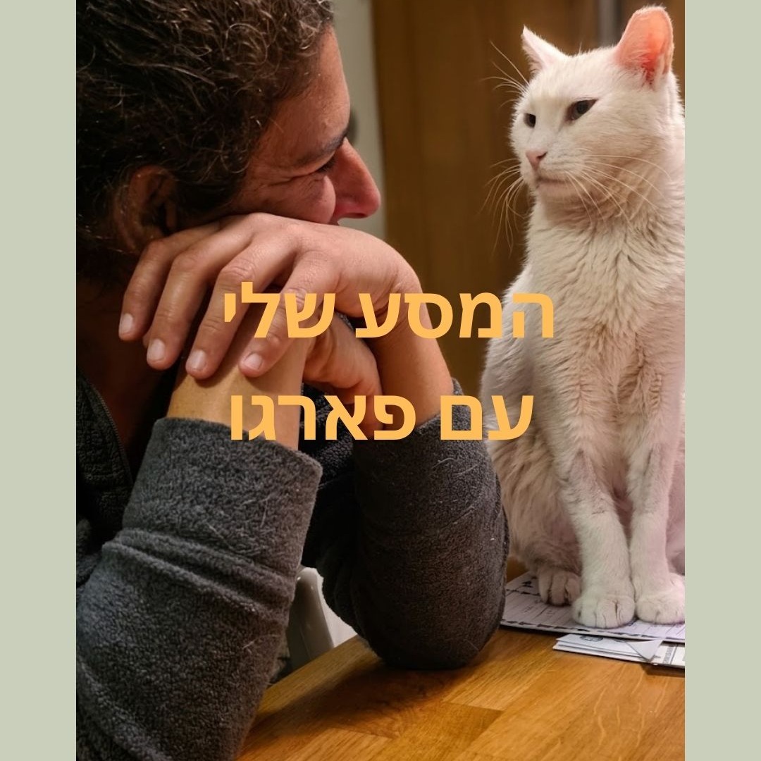 מזמינה אתכן להצטרף אליי לקהילה שלי, ימי שלישי מפגש מועדון, אני מדברת במפגש על המשמעות של הקשר של חתולים אלינו, והקשר שלנו איתם. עם מה הם מפגישים אותנו, מה הדרך שהם מזמינים אותנו לצעוד בה.
לינק להרשמה למועדון נמצא בbio