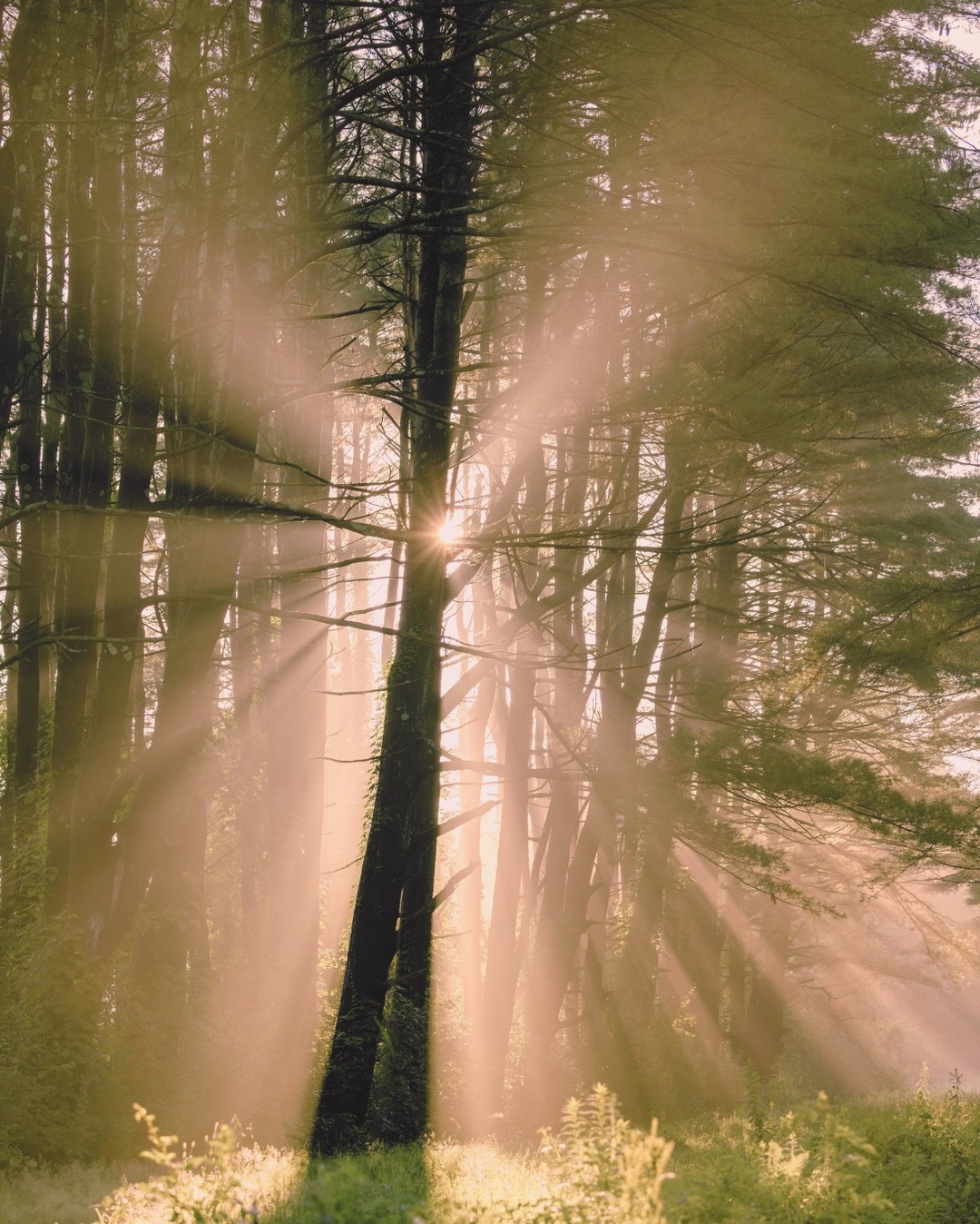 Your voice matters most to you.
Stand in your truth.
Pause, feel and choose your own path.
//
Votre voix compte avant tout pour vous.
Tenez-vous dans votre vérité.
Faites pause, ressentez et choisissez votre propre chemin.