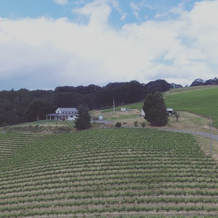 The final pieces are coming together