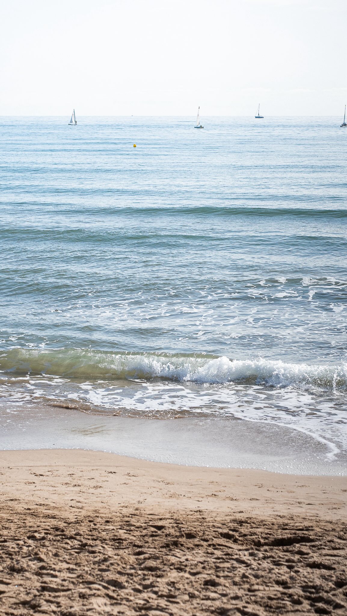 ¡Se siente veranito en Café Sardina!!Y apetecen tapas con sabor a mar,o una paellita acompañada de un vinito blanco …y ¡muchas ganas de sol!!..
¡Siempre frente al mar!!😘
#cafesardinasitges #restaurantbarcelona #restaurantsitges #foodies #cafesardinarestaurant