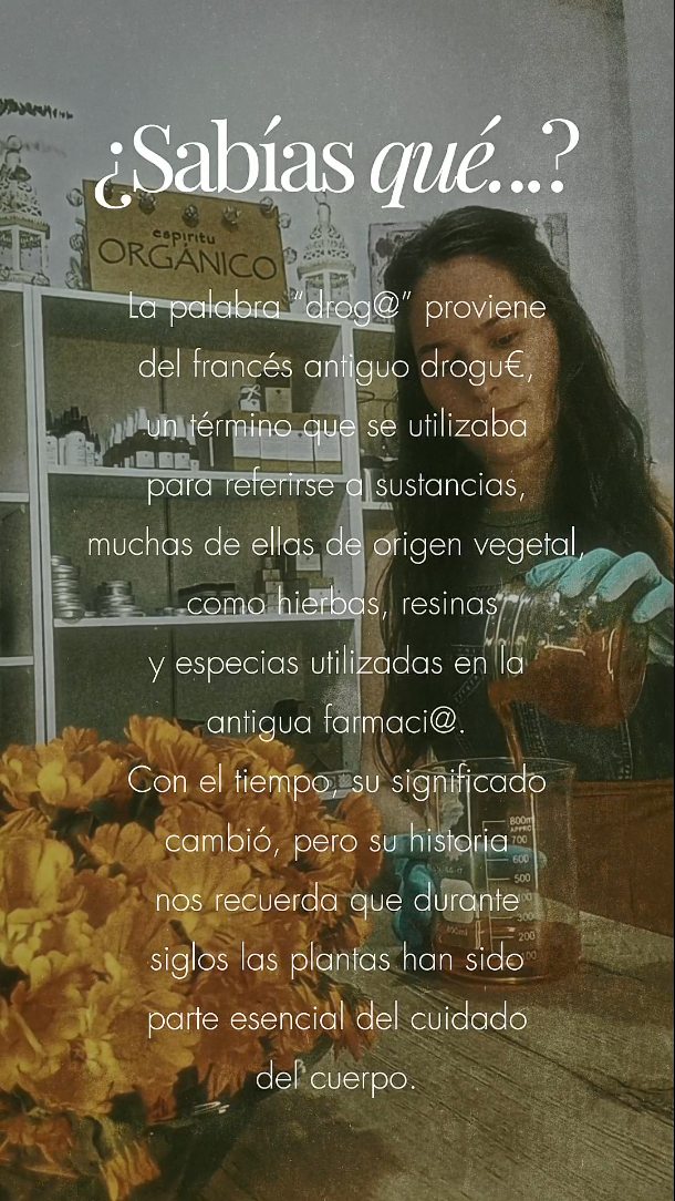 ✨ A veces las palabras cambian… pero su origen guarda historias 🌿
Durante siglos, muchas de las sustancias que hoy conocemos como “drog@s” hacían parte de la antigua farmaci@: plantas, resinas y especias utilizadas para el cuidado del cuerpo ✨
Con el tiempo, el significado cambió… pero no la esencia 🌱
Hoy, volver a lo natural y a lo simple se convierte en un acto de conciencia 💛
de elegir mejor, de entender lo que usamos y de reconectar con lo que realmente le hace bien a nuestra piel.
Porque al final…
la naturaleza siempre ha estado ahí 🌿✨
#organico #natural #cosmeticanatural #artesanal #cuidadofacial