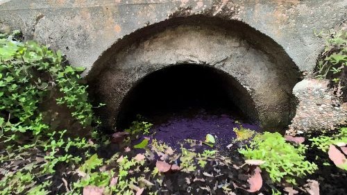 I had surgery about a month ago, but before the crisis, I went out one overcast morning with Raven Storm looking for fun textures. Sought out spaces where rusty metal meets weeds. Collected a ton of images from which to make "finder compositions." It took a while to have enough energy during recovery to pull this folder up for editing, but now they've been processed. I'm quite happy with a few of them. It's fun to look for compositions right under our noses and push them to see where they want to end up. There are about 20 images I thought were worth sharing. I hope you'll check them out!
Texture Foraging. Field trip photographs edited in Gimp by Katty Pulsar and Neil Oldman for Daydream Misfit.
https://www.daydreammisfit.com/texture-foraging