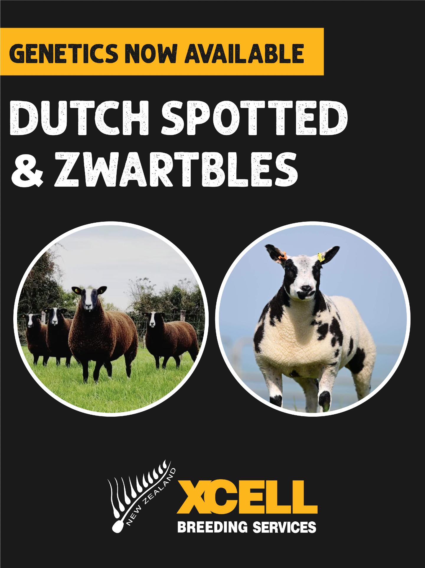 EMBRYOS AVAILABLE - DUTCH SPOTTED & ZWARTBLES
π
We are implanting Dutch Spotted and Zwartbles embryos on 21 April, with pregnant recipient ewes available for purchase.
A great opportunity to secure quality genetics without the wait!
Get in touch now with any enquiries or to secure your recipient ewe πππ
βοΈ greg@xcell.co.nz
https://www.xcell.co.nz/