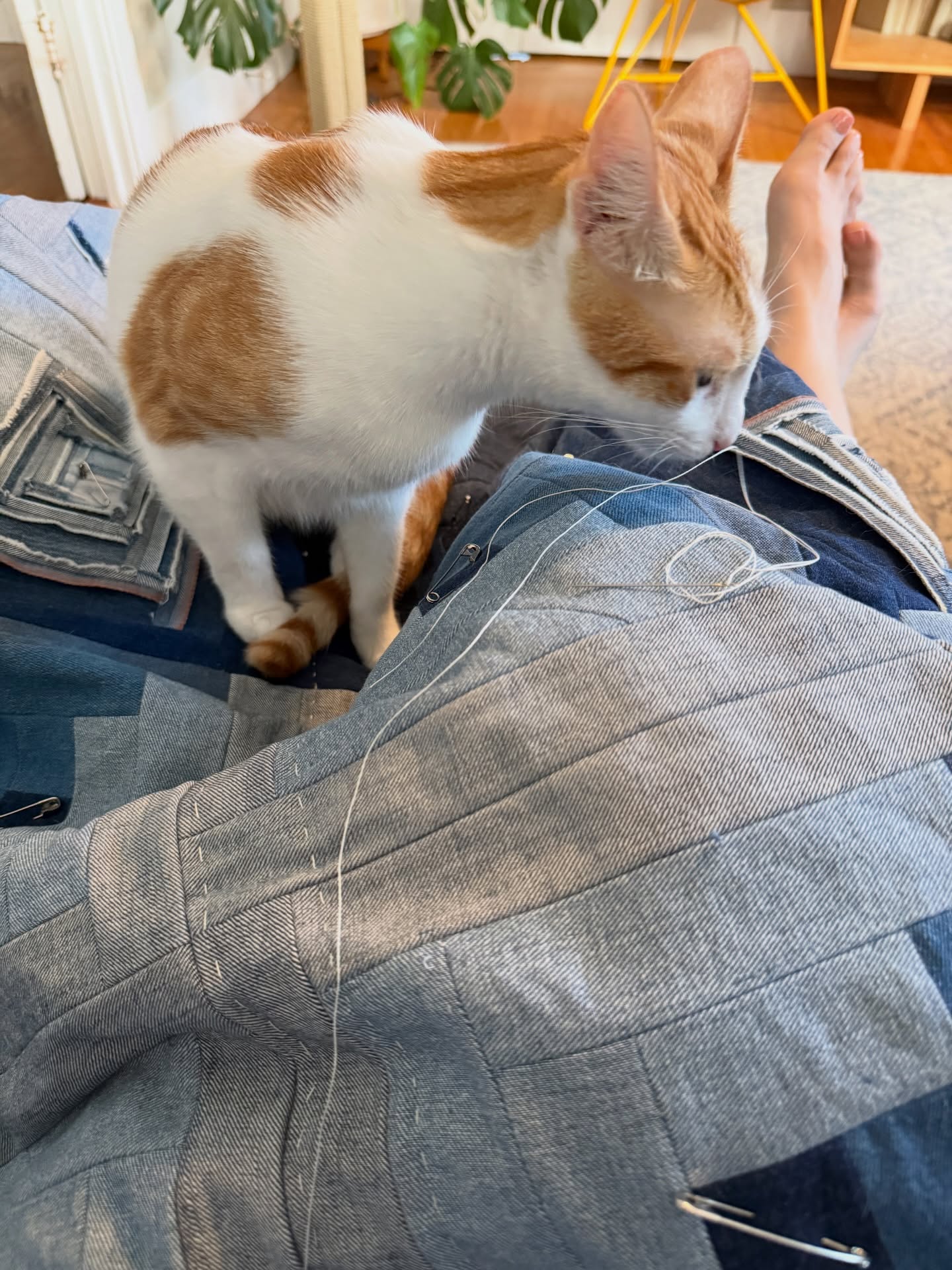 This is why I haven’t made more progress hand quilting my denim log cabin quilt. The minute I grab a needle and thread and sit on the couch, they appear and won’t leave my side. At least they aren’t trying to eat the thread as much anymore…
Troy especially has decided if I’m hand sewing he needs to be within 5 inches of me at all times. It would be very annoying if it wasn’t so cute…