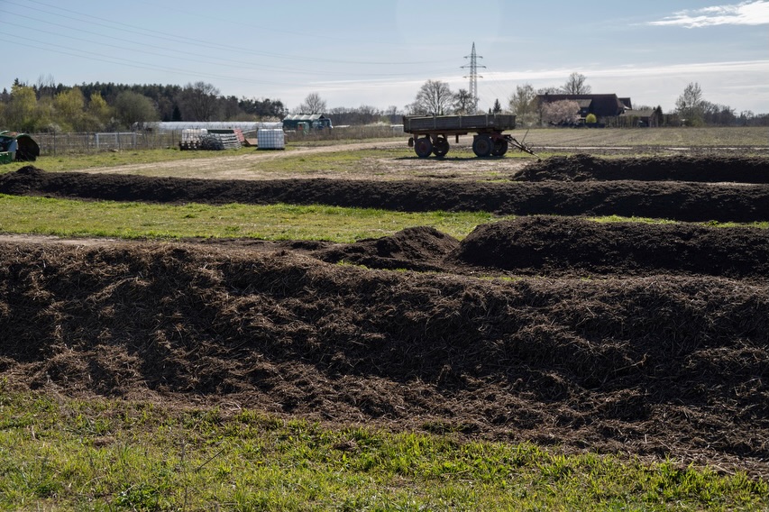 Hier seht ihr unsere Kompostmieten. Sie bestehen aus verschiedenen Komponenten wie Grünschnitt, Mist und Stroh. Der Kompost reift etwa 8 Wochen und kann anschließend als nährstoffreicher Dünger verwendet werden.
Unser Betrieb kauft keinen zusätzlichen Dünger zu. Wir arbeiten nach dem Prinzip der Kreislaufwirtschaft: Mist und andere organische Abfälle werden kompostiert und wiederverwertet – so entsteht natürlicher Dünger direkt bei uns auf dem Hof.