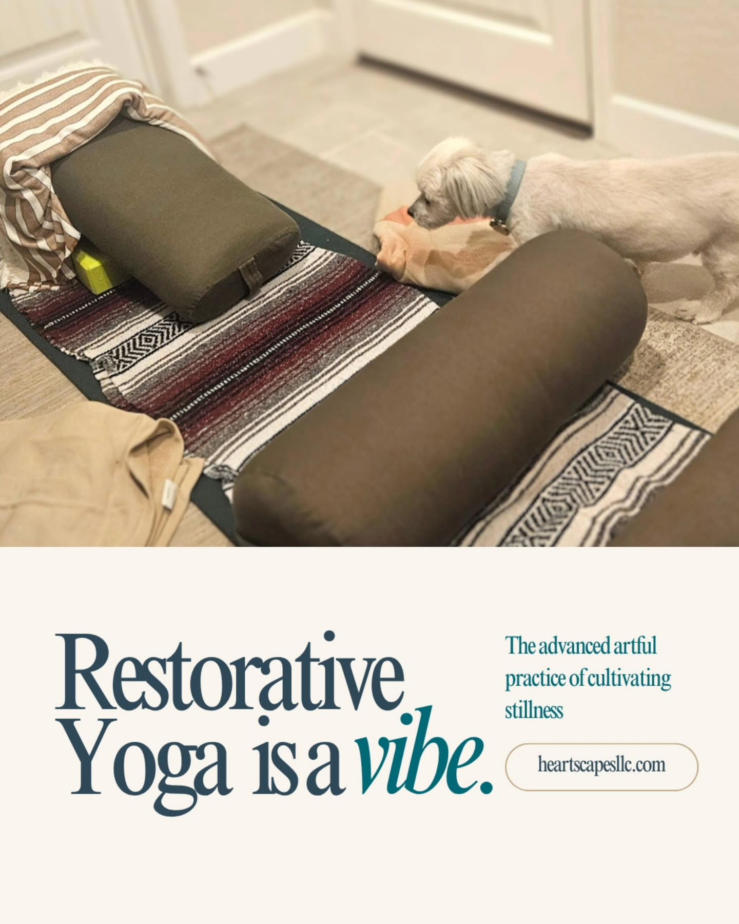 You might be surprised to see Restorative Yoga as an 'advanced' practice. Its challenging for us to engage with rest for so many reasons. To be honest its a challenge for me to! My super active mind wants to stay in busy mode, yet every time I can slow down for 20 minutes in the day I receive so many shifts on body mind and spirit.
#restorativeyoga #nonsleepdeeprest #midlifewomen #fresnowellness