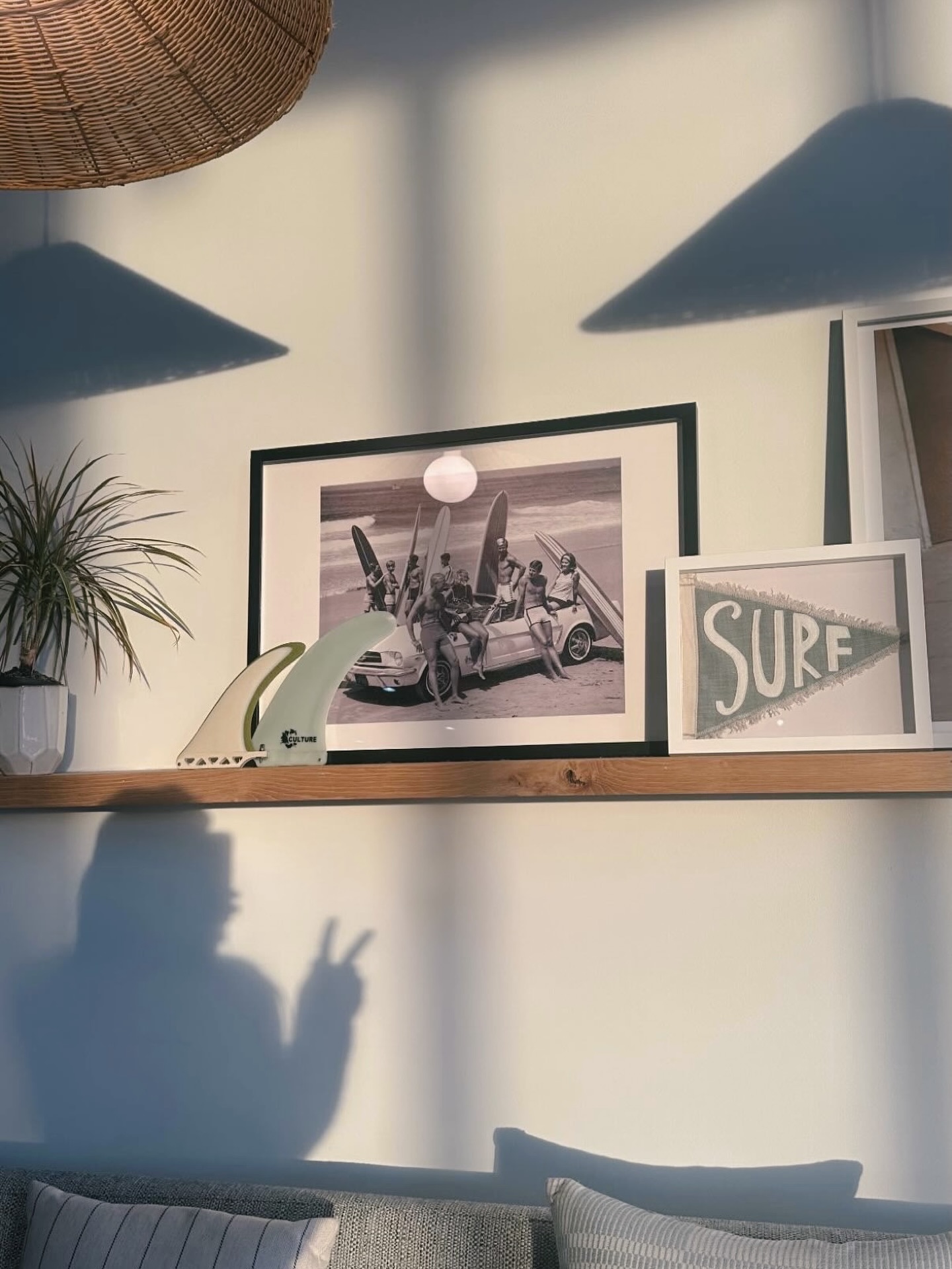 the morning light that brings us so much joy🌞