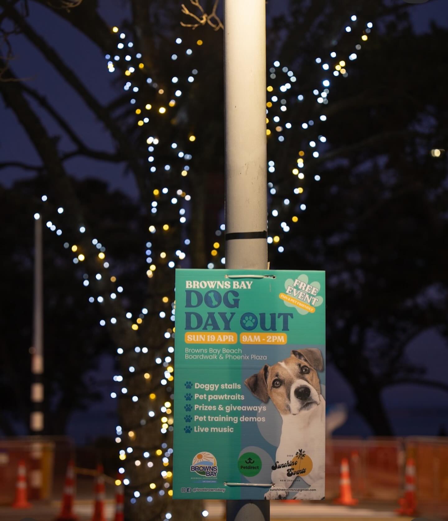 Can’t wait to meet you there for a day full of dogfun 🥳🐾🐶
@sunshineeventsnz @lovebrownsbay
.
.
.
.
.
.
#dogfun #dogdayout #brownsbaydogdayout