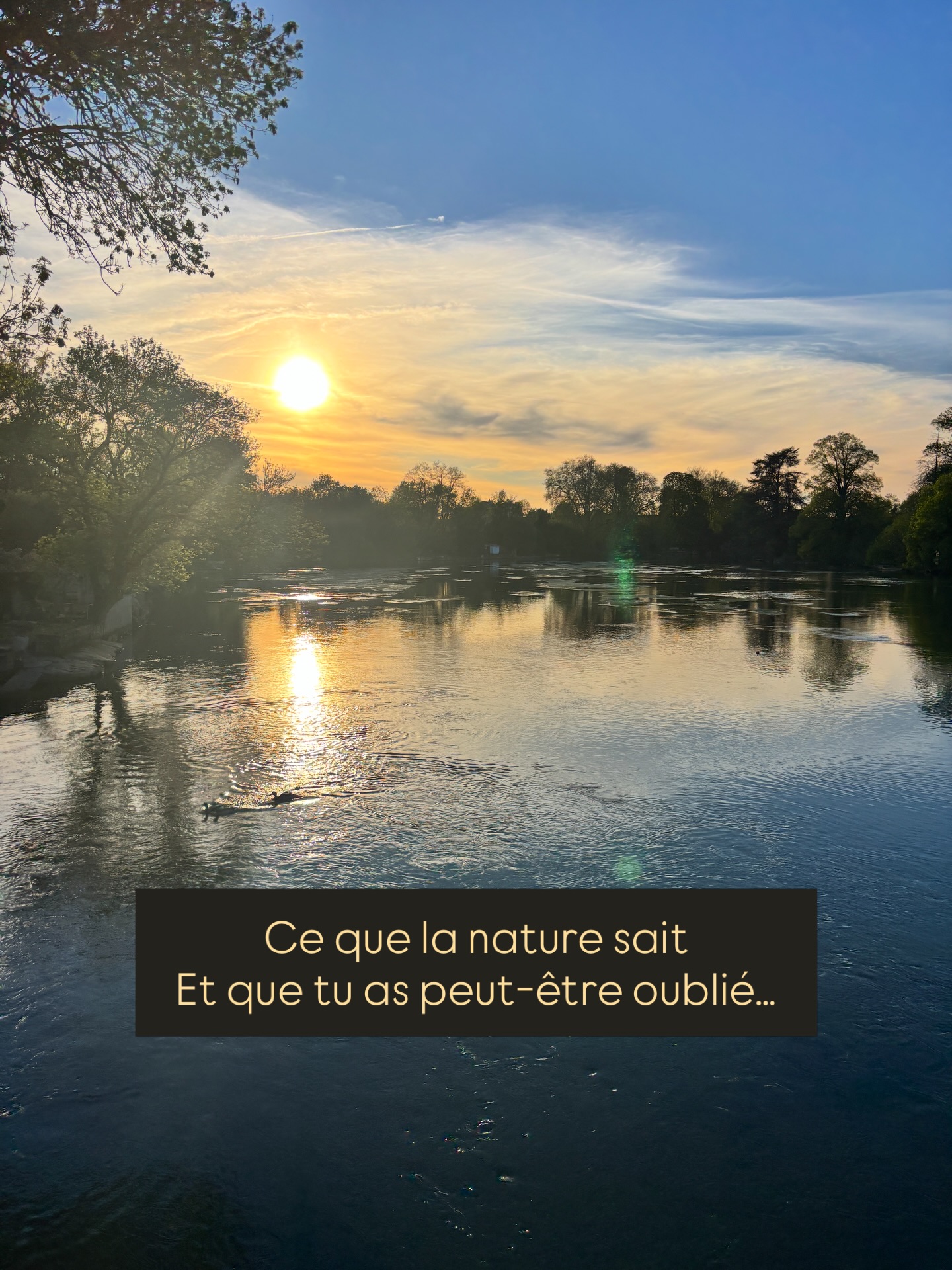 Tout est dit 🤍
#préparation #mentale