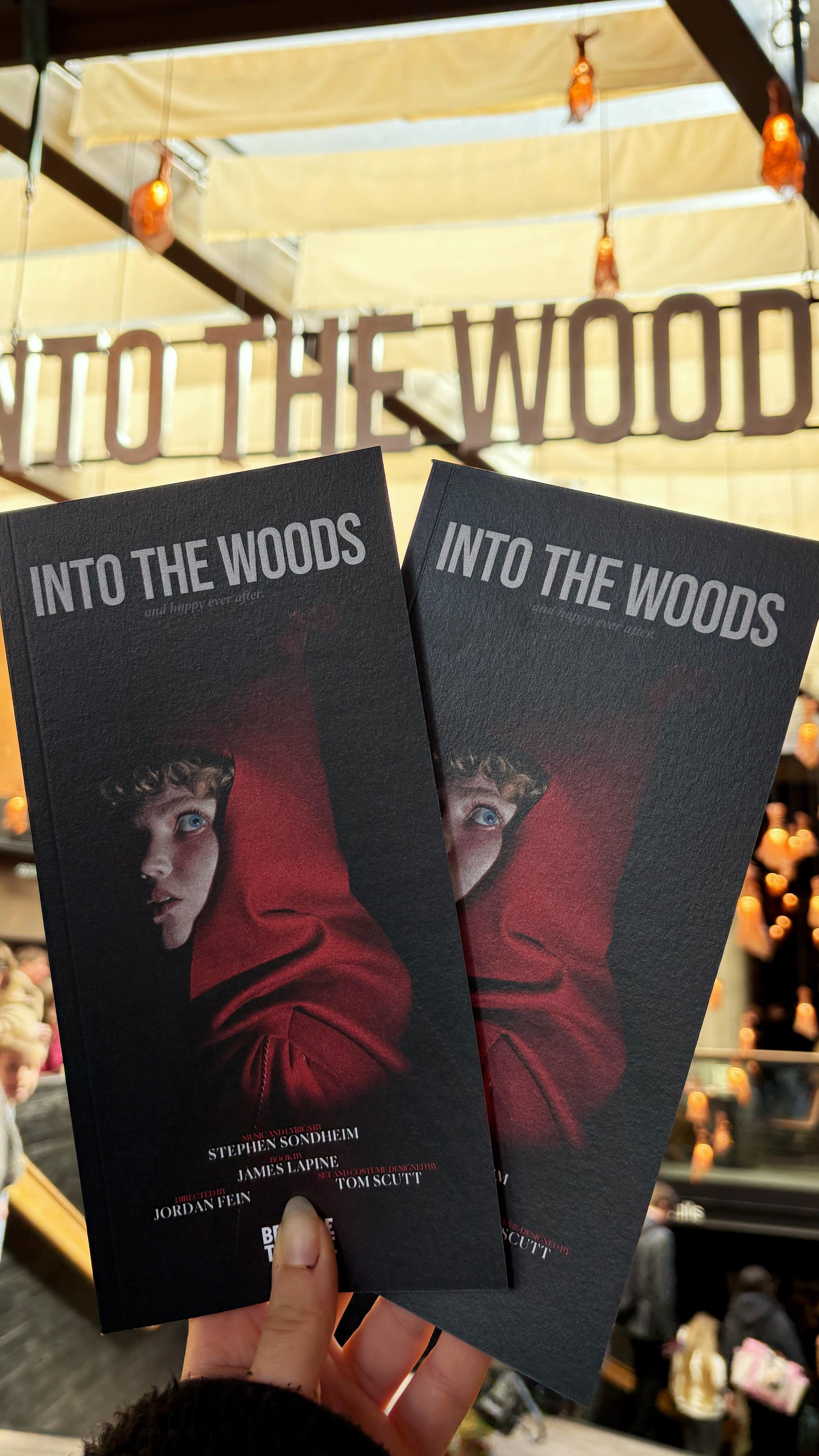 Wished on the beans and asked the trees and suddenly Into the Woods got a West End transfer! Magic does exist!
I’m actually ashamed that it took me so long to see a Sondheim show but at least I can say this stunning production of Into the Woods was my first!
#intothewoodsmusical #stephensondheim #musicaltheatre #westemdtheatre #londontheatre