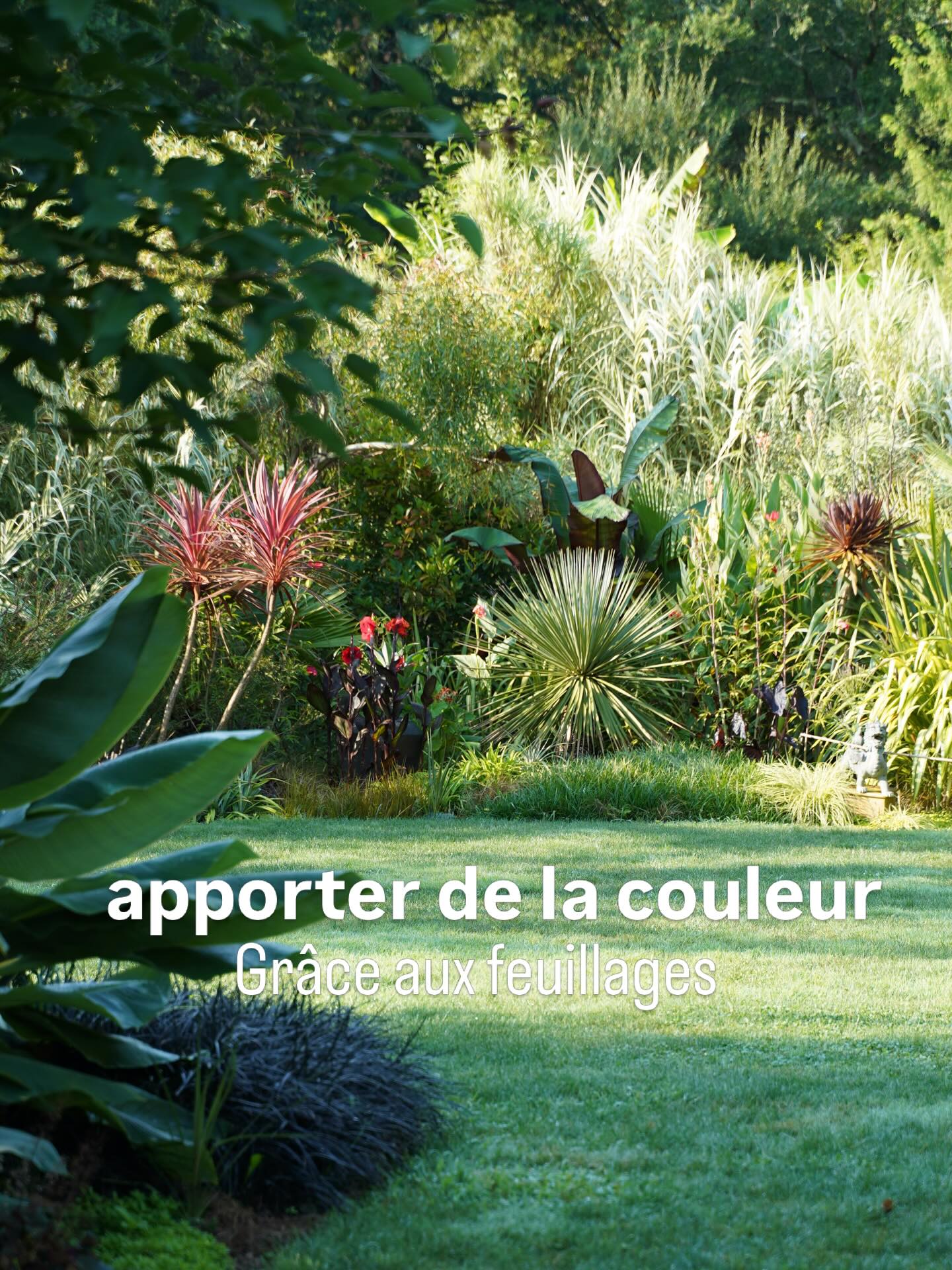 Et si la couleur d’un jardin était apportée par les feuillages ? Palmondoa est l’un des jardins exotiques commencé tout de suite tellement il m’avait trotté dans la tête
🌱organisé autour d’un cercle parfait il met en scène des plantes architecturales aux feuillages colorés :
Astelia brahea armata phormium musa maurellii agaves carex ophiopogon…
🌱rouges noirs argentés dorés
🌸peu de fleurs mais des fleurs rouges comme celles des cannas Callistemon grevillea johnsonnii ou erythrine
Jardin des barthes classé remarquable sud des landes aux portes du pays basque
#jardin #plantslover #gardeninglife #feuillage #tropicalplants