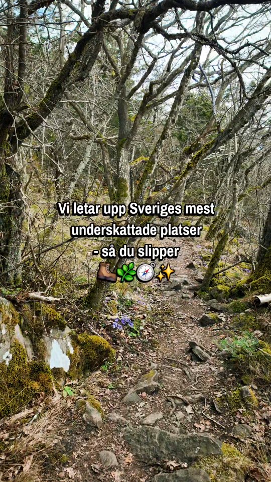 Vill du upptäcka fler av Sveriges dolda pärlor? Då har du kommit rätt! 😊
/Sandra & Thobias