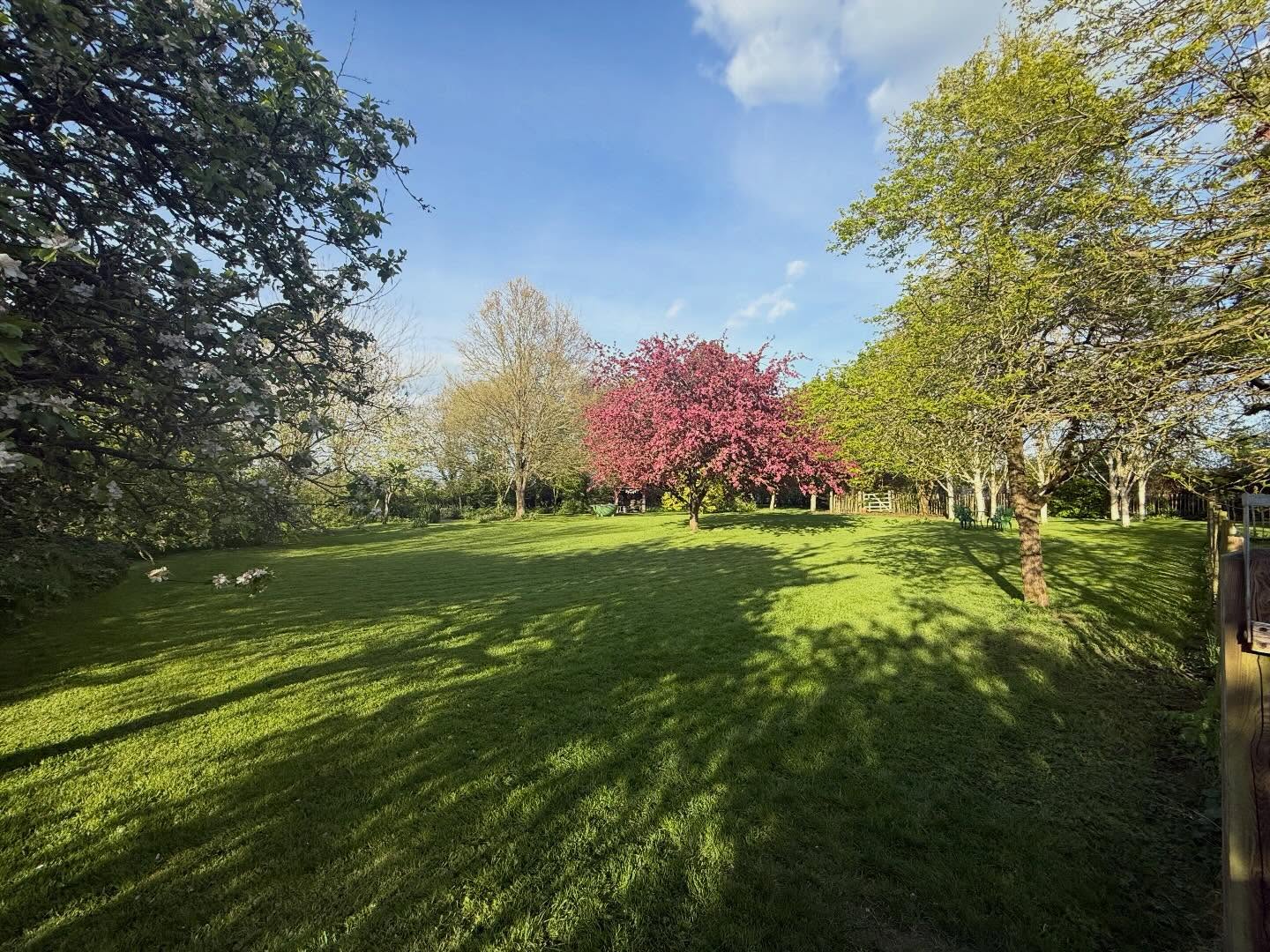 When I was going to see The Jesus and Mary Chain play April Skies live, as a teenager, there was no social media… but here we are 😂
Another sunny day and some blue in the skies. What a difference it makes.
Wishing us all a good week ☀️
#mondaymotivation #sunshine #somerset #april #blossom