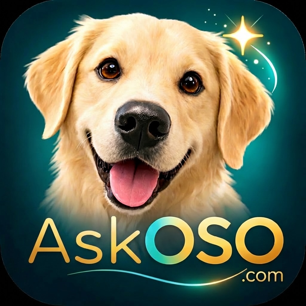 ¿No sabes por qué tu perro hace eso? 🤔
Muchos comportamientos tienen una razón…
pero no siempre es obvia.
🐕🦺
Con AskOSO.com puedes entender mejor a tu perro
y tener más claridad sobre qué hacer.
Deja de adivinar.
Empieza a entender.
👇
AskOSO.com