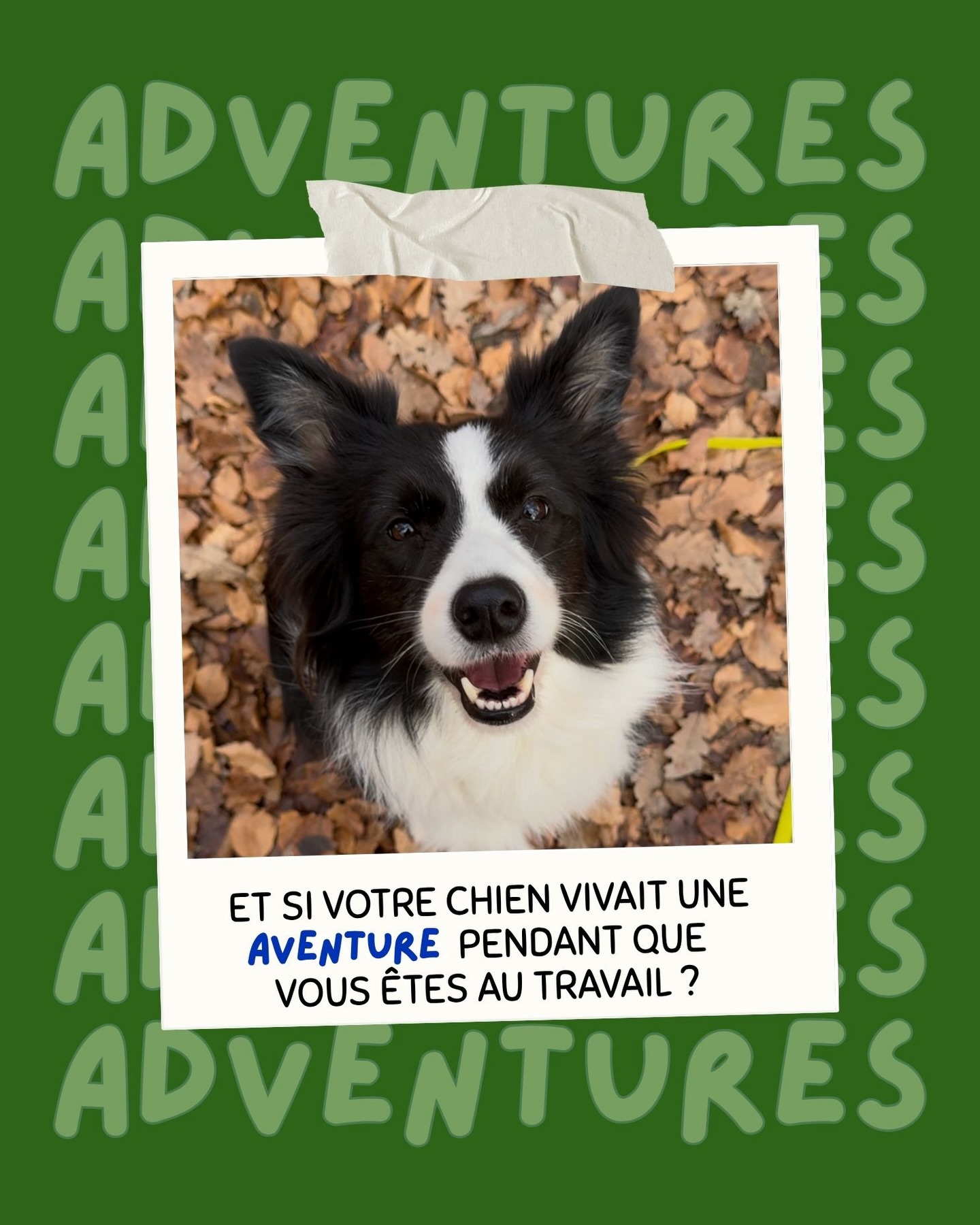 Et si vous offriez un moment vraiment très chouette à votre chien, même quand votre journée est chargée?
🤩 On lance Woofy Adventures! Des sorties nature en petit groupe, hors de la ville, pour votre loulou qui est à la maison.
On vient le chercher avec notre nouveau van équipé, on l’emmène explorer, renifler, se dépenser…et on vous le ramène apaisé à la maison 🤍
Une façon simple d’offrir un vrai moment de plaisir à votre chien, sans complexifier votre quotidien.
⚠️ Places limitées chaque semaine
👉🏻 Pour ceux qui ont déjà fait leur Woofy Discovery
📍 Lausanne centre et sous-gare, Pully & Lutry
📆 Disponible les lundis & mardis
🐕 Pour les chiens sociables qui ne tirent pas en laisse
Réservez directement de l’application, sous la catégorie “promenade de chiens!”