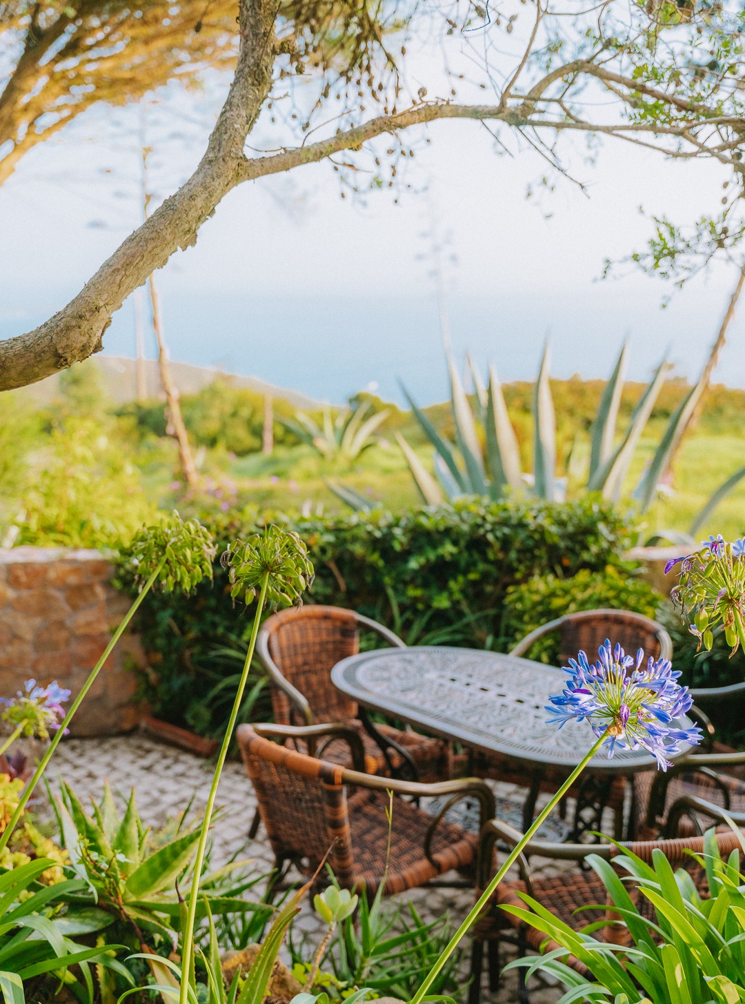 Há lugares no Moinho que ficam na memória. ❤️
Entre sabores, conversas e tardes que não se quer terminar, cada visita deixa a sua marca... seja num cantinho à sombra, numa mesa com vista para o oceano, num momento que não estava planeado.
Mas há uma coisa que o Moinho tem ensinado, visita após visita: a melhor experiência é a de deixar o destino surpreender! Um novo ângulo, uma luz diferente, um espaço que ainda não conhecias, e de repente tens uma memória nova para guardar.
Já tens o teu lugar preferido por aqui?
______________
Some places at Moinho just stay with you. ❤️
Between flavours, conversations and afternoons that never seem to end quite soon enough, every visit leaves its mark... a shaded corner, a table with an ocean view, a moment you didn't see coming.
But there's something Moinho has taught us, visit after visit: the best experience is the one you didn't plan! A new angle, a different light, a spot you hadn't noticed before, and suddenly you have a new memory to keep.
Do you have a favourite spot here?
#MoinhoDomQuixote #Sintra #Primavera #esplanada
