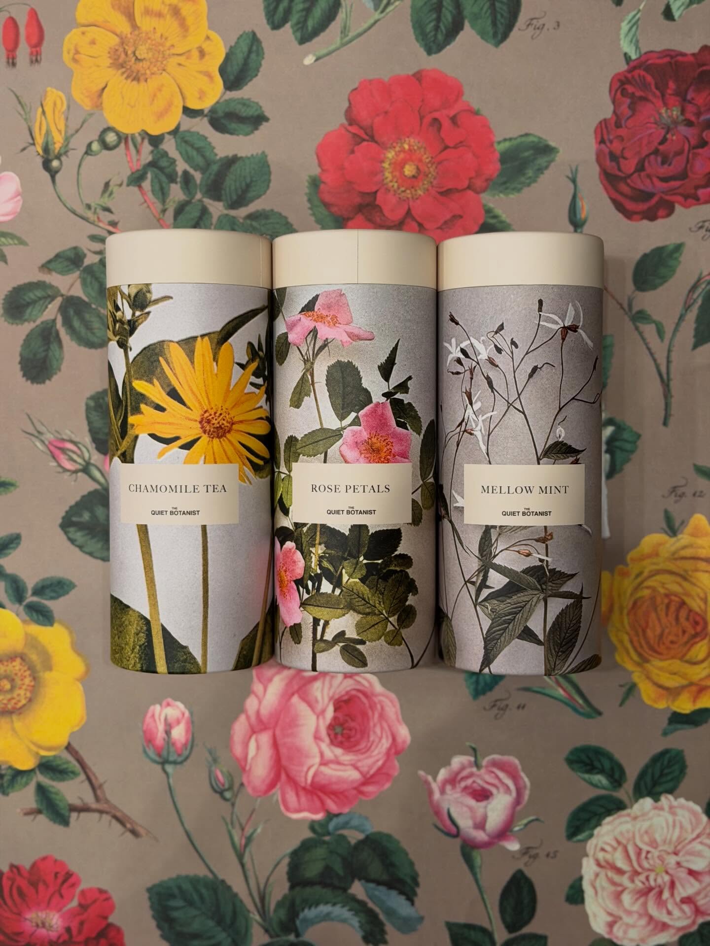 It’s SPRING! And @nantucketbookworks is bursting with colors and florals! Stop in this week to see what’s new for springtime. 🌼 🌸🌷