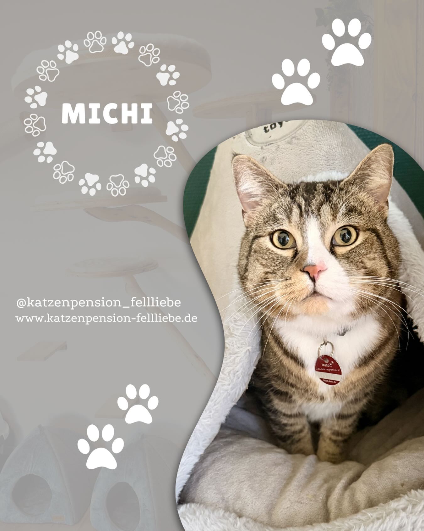 ♥️🐾🐈♥️
.
.
.
.
#katzenpension
#fellliebe
#katzenliebe
#sweet
#liebe