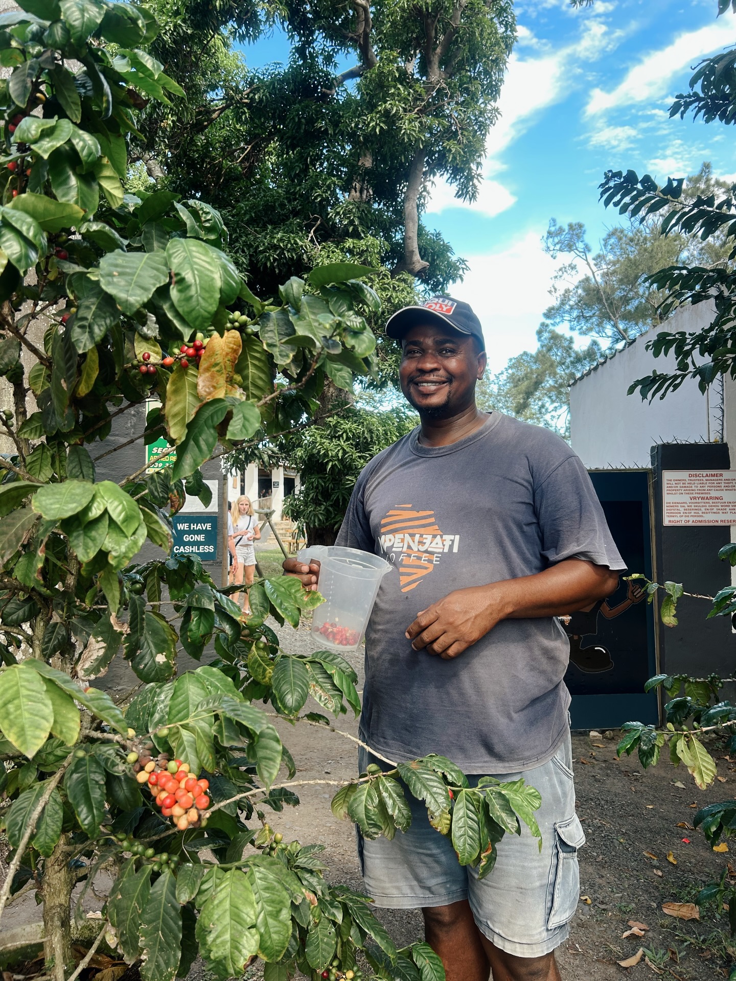 JJ picking only the best - because great coffee starts right here!
#coffee #cherry #farm #kzn #instagood
