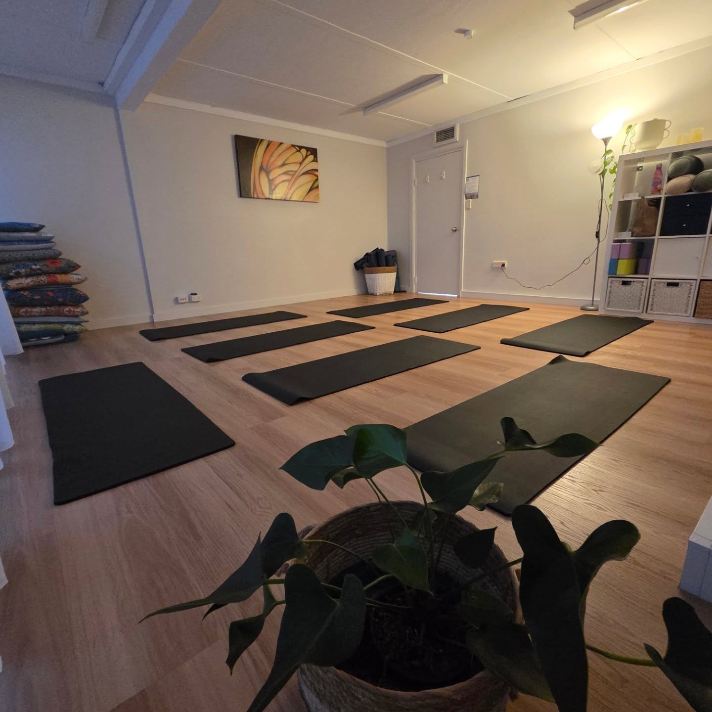 Feeling tight, stressed or stuck in your body?
Come try Fascial Yoga Movement Classes at Freshwater Wellness Centre
These classes help you:
✔ Release deep tension
✔ Improve flexibility & mobility
✔ Calm your nervous system
✔ Feel more connected in your body
💫 Intro offer available
📍 Freshwater
Book now or DM for details link in my bio