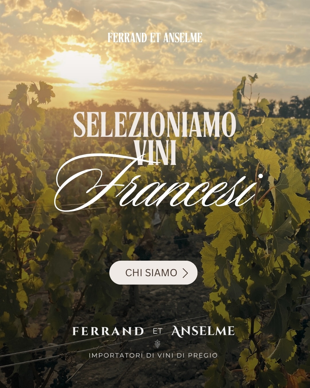 Non costruiamo un catalogo, ma una collezione di storie.
Ogni bottiglia è l’espressione di un territorio e della passione di chi lo vive ogni giorno.
#ferrandetanselme