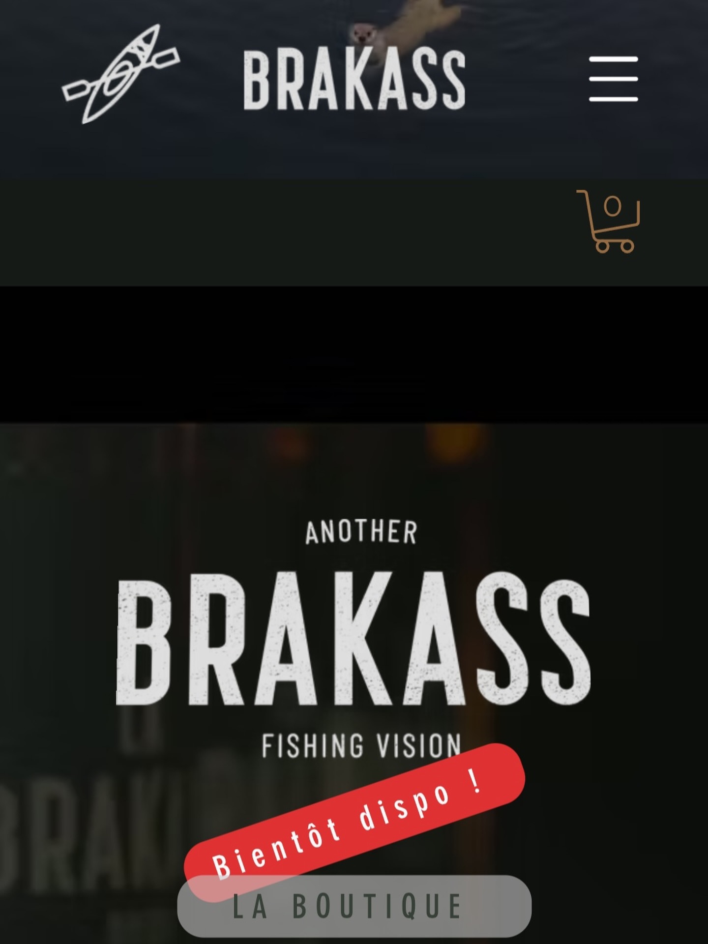 Salut mon lapin,
Petit point « actu » du côté de notre site internet.
La législation française ne nous autorise pas à garder notre boutique ouverte toute l’année en
raison du statut de notre association.
Nous la réouvrirons donc à l’occasion d’événements (lancement de projet, sortie de film,
nouvelles collections limitées, dates d’anniversaire, etc.).
Le site, lui, reste ouvert : l’occasion d’aller jeter un œil sur notre rubrique blog, que nous étoffons
petit à petit depuis le mois dernier.
Bonne merde si les lignes sont tendues.
La bise au chat !
Paiter.
https://www.brakass.com/blog