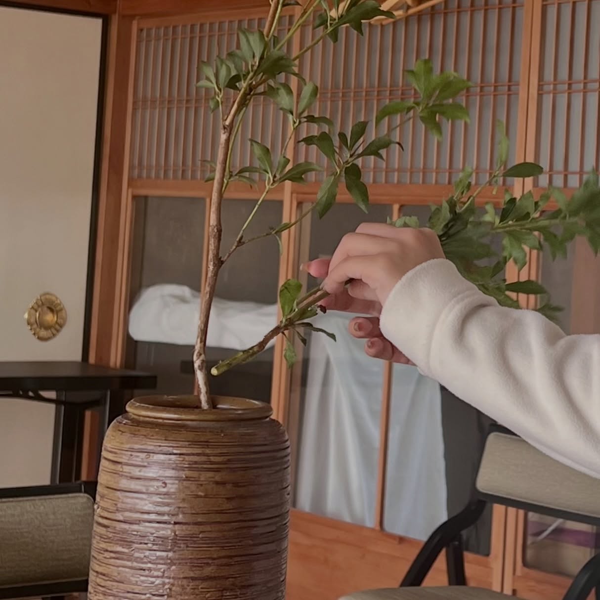 “The First Branch”
“I don’t know which branch to choose.”
This is something almost everyone says at the beginning.
Choosing just one from many
is often more difficult than it seems.
You take a single branch,
and decide where, at what angle, and how to place it.
With just that,
the entire space begins to change.
What matters is not making the flowers look “beautiful,”
but sensing the form they already hold within.
Where did it grow,
and how has it reached this shape?
Holding these thoughts,
you place your very first branch.
Even the moment of hesitation
is part of ikebana.
Time with flowers
becomes time with yourself.
「最初の一枝」
「どの枝を選べばいいのか分からない」
多くの方が、最初にそうおっしゃいます。
たくさんある中から一本を選ぶことは、
思っている以上に難しいものです。
ただ一本の枝を手に取り、
どこに、どの角度で、どう置くか。
それだけで、空間の景色が変わります。
大切にしているのは、
花を“きれいに見せる”ことよりも
その花がもともと持っている姿を感じること。
どこで育ち、
どんな風に伸びてきたのか。
そんなことを少し想像しながら
最初の一枝をいけてみる。
迷う時間も含めて、
いけばなの時間です。
花と向き合う時間は、
自分と向き合う時間でもあります。
#いけばな教室
#自分時間
#ikebana
#mindfulmoments
#japaneseculture