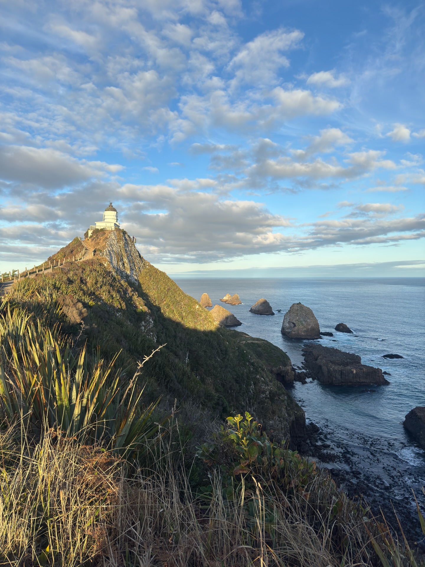 La suite du périple : The Catlins
Différents points où s’arrêter le long de la côte, notamment :
👉 Nugget point, et son phare !
👉 Purakaunui falls, une cascade qui descend sur trois niveaux.
La suite des Catlins dans la prochaine publication ! :)
#thecatlins #nouvellezelande #newzealand #nuggetpoint #purakaunuifalls