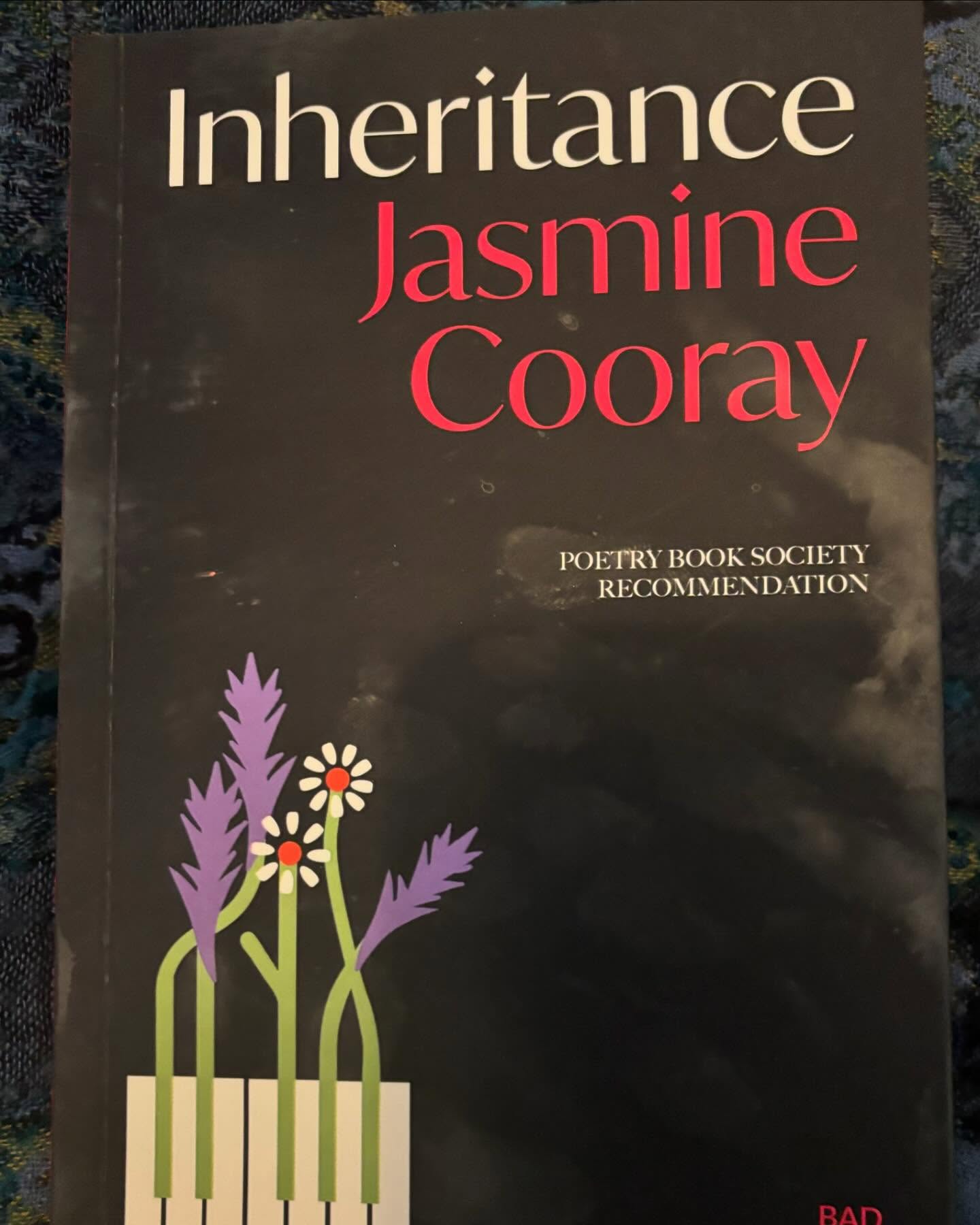 @jasminecooray’s poem Years That Ask Questions and Years That Answer carries an energy that feels fitting for today. From her gorgeous anthology, Inheritance, this poem asks important questions. I read it at my Women’s writing group this morning, led by @fionaparashar and @jackeeholderinspires
and felt the burst of her words in our hearts and hips….here it is…
“Some years asked what are you made of,
and you started getting out cupcakes and bunting
and they shook their head and said, no, really,
and you curtseyed in a nurse’s uniform and halo,
and they sighed and said yes but what else,
and you felt around in there and said ok, fire,
And nailbombs and rubble, and they said good what else,
and you said a scream filling the universe,
and before they could ask again you coughed up parachutes and kaleidoscopes and carnival outfits
and panthers and peacocks and flying fish,
and spider webs holding cannonballs
and mountains and rivers and tree roots
and then the years answered by rising,
breaking through the roof like Alice, a giant
treading the earth, then, curling up in the ocean
to rest from all the work of those question years,
hip curving above the waves, a new country.”
✨.
Years That Ask Questions and Years that Answer.
after Zora Neale Hurston by @jasminecooray
#inheritance #badbettypress #poetryastherapy #poetry #womenscircles #writinggroup #writingastherapy #theembodiedsoul #psychotherapistsofinsta