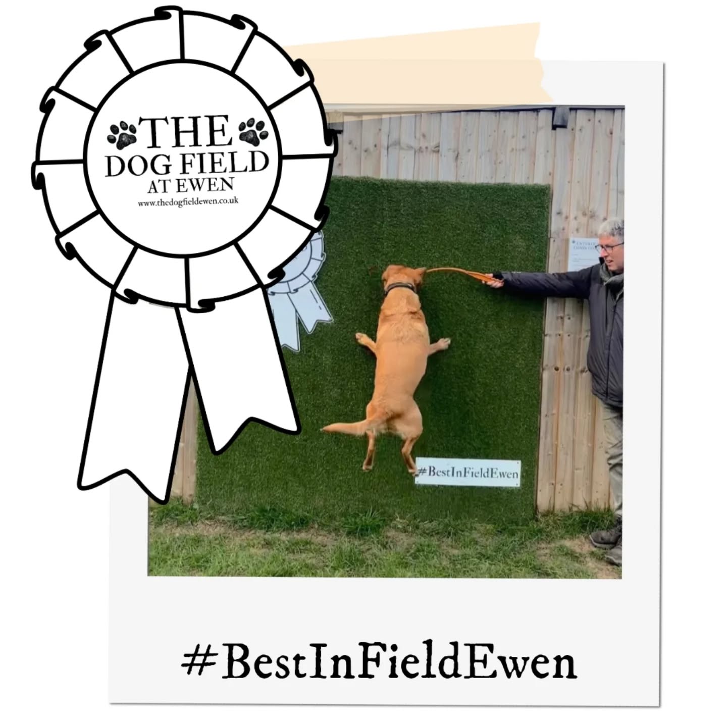 Congratulations to james_headspeath for winning our #bestinfieldewen competition for March (sorry it's late).
An ingenious was to strike a pose!
#DogFieldEwen #DogFriendlyCotswolds