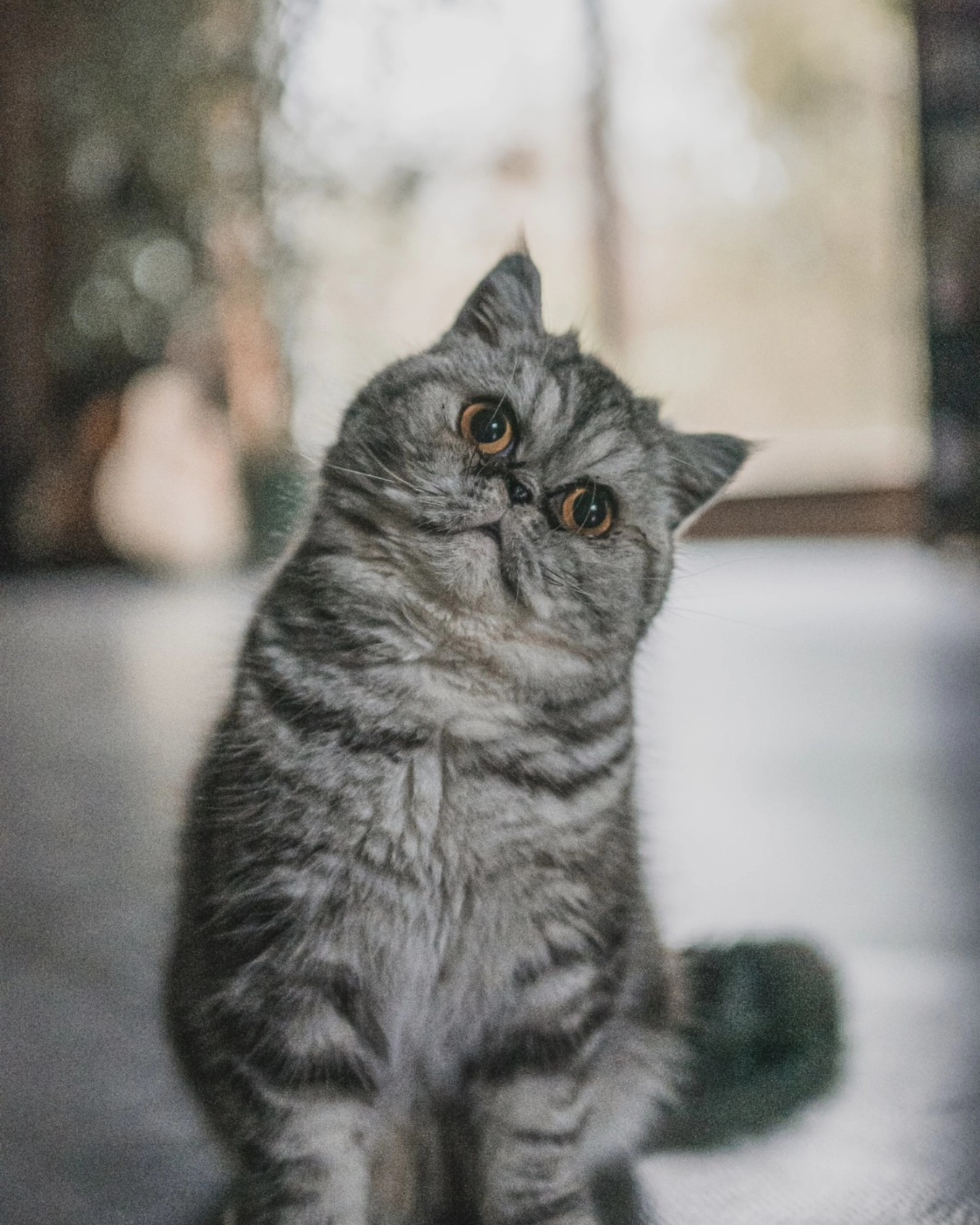 Mon deuxième bébé 🥰🥰🥰