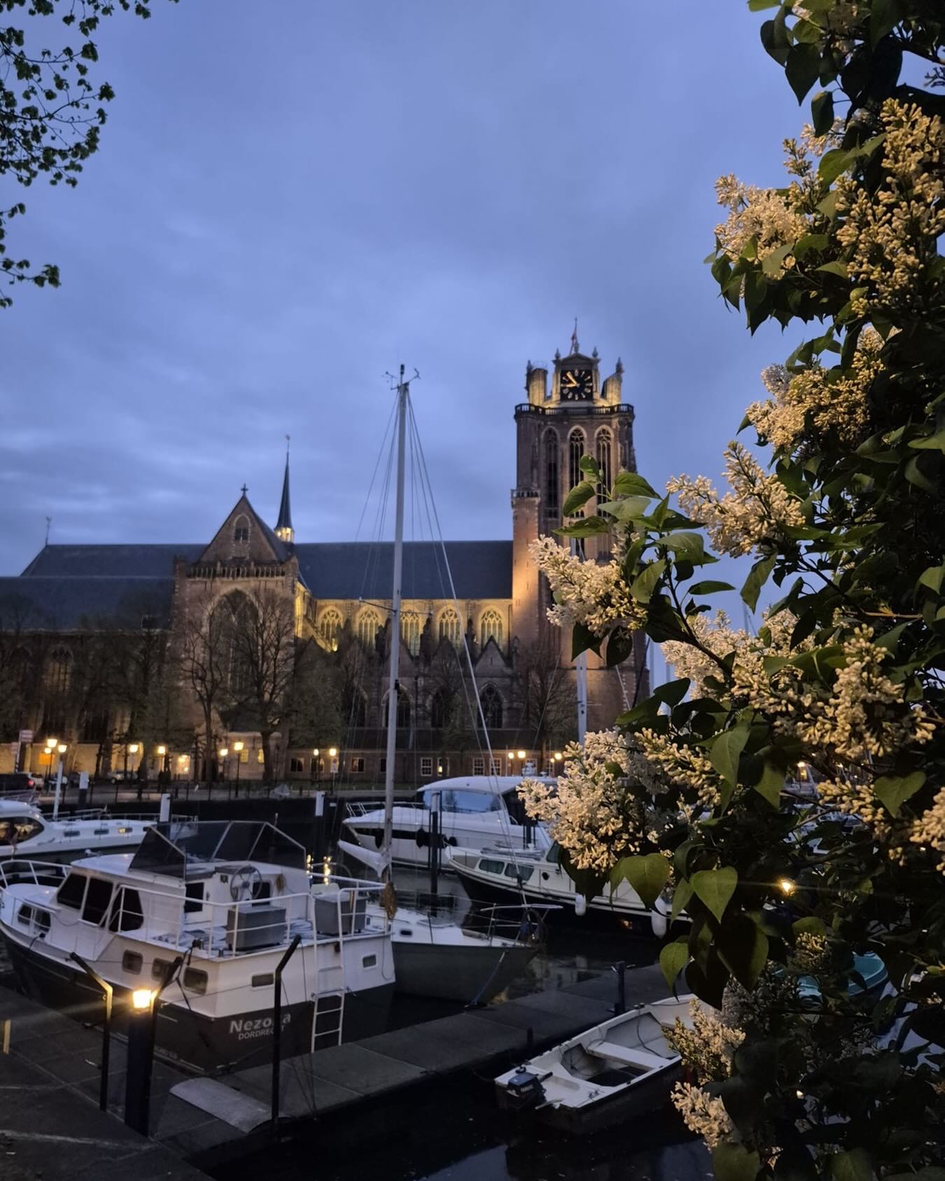 “The Dawn hath truly brightened and the light hath shone forth and the night hath receded. Happy are they that comprehend.“ Tablets of Bahá’u’lláh Picture courtesy of @rosegarden.dordrecht