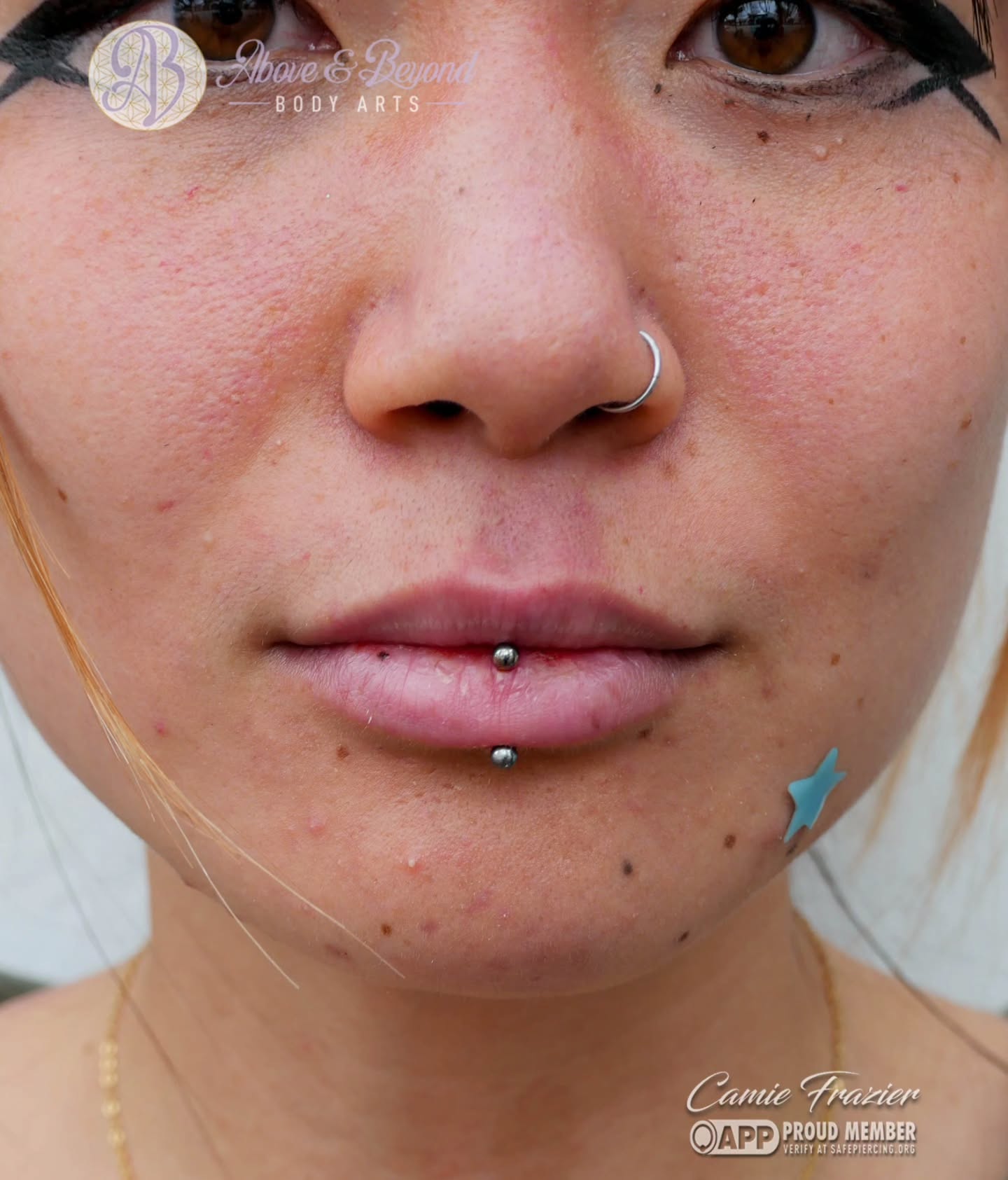 A Vertical Labret pierced by Camie ( @cutewrapsupreme )! Freshly downsized and sporting a crisp titanium curved barbell from @anatometalinc .
📷: @cutewrapsupreme
#verticallabret #piercing #appmember #anatometal #santabarbara