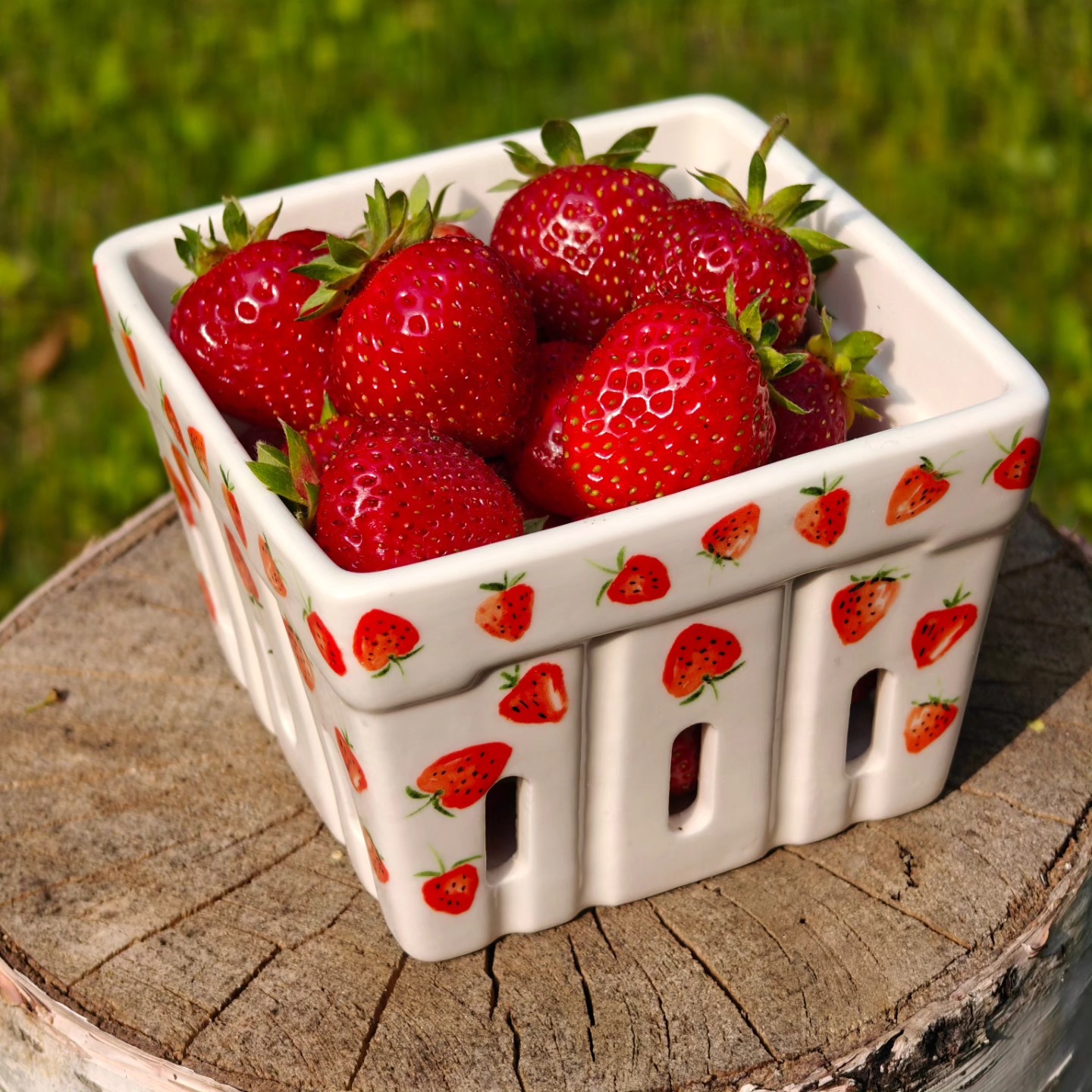 ๐๐THE BERRIES ARE HERE!!! ๐๐
The strawberries at Birchfield Farm are just starting to come on โ and theyโre looking beautiful, juicy, and ready to make your summer sweet.
Weโre now accepting pre-orders on our website:
๐ www.thefarmatbirchfield.com
Secure your quarts or flats early before we sell out! Orders will be fulfilled as they are received and as berries are available.
#BirchfieldFarm #MichiganStrawberries #StrawberrySeason #FreshFromTheFarm #EatLocal #UplandBerries