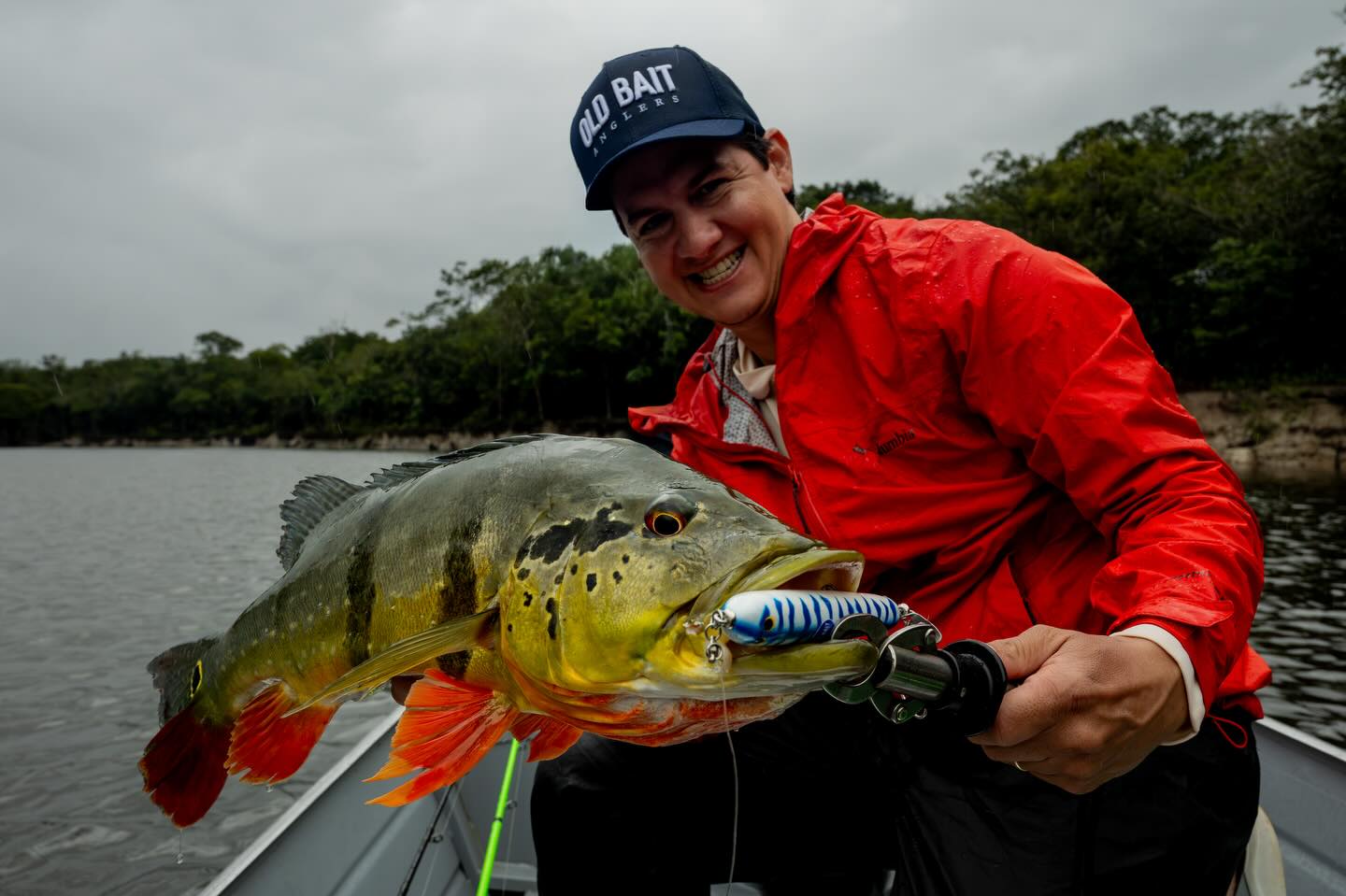 Contando os dias pras novas @highrollerbrazil
em cores especiais para Old Bait!
@baits_box
@riverplateanglers 📍
Guia Romário